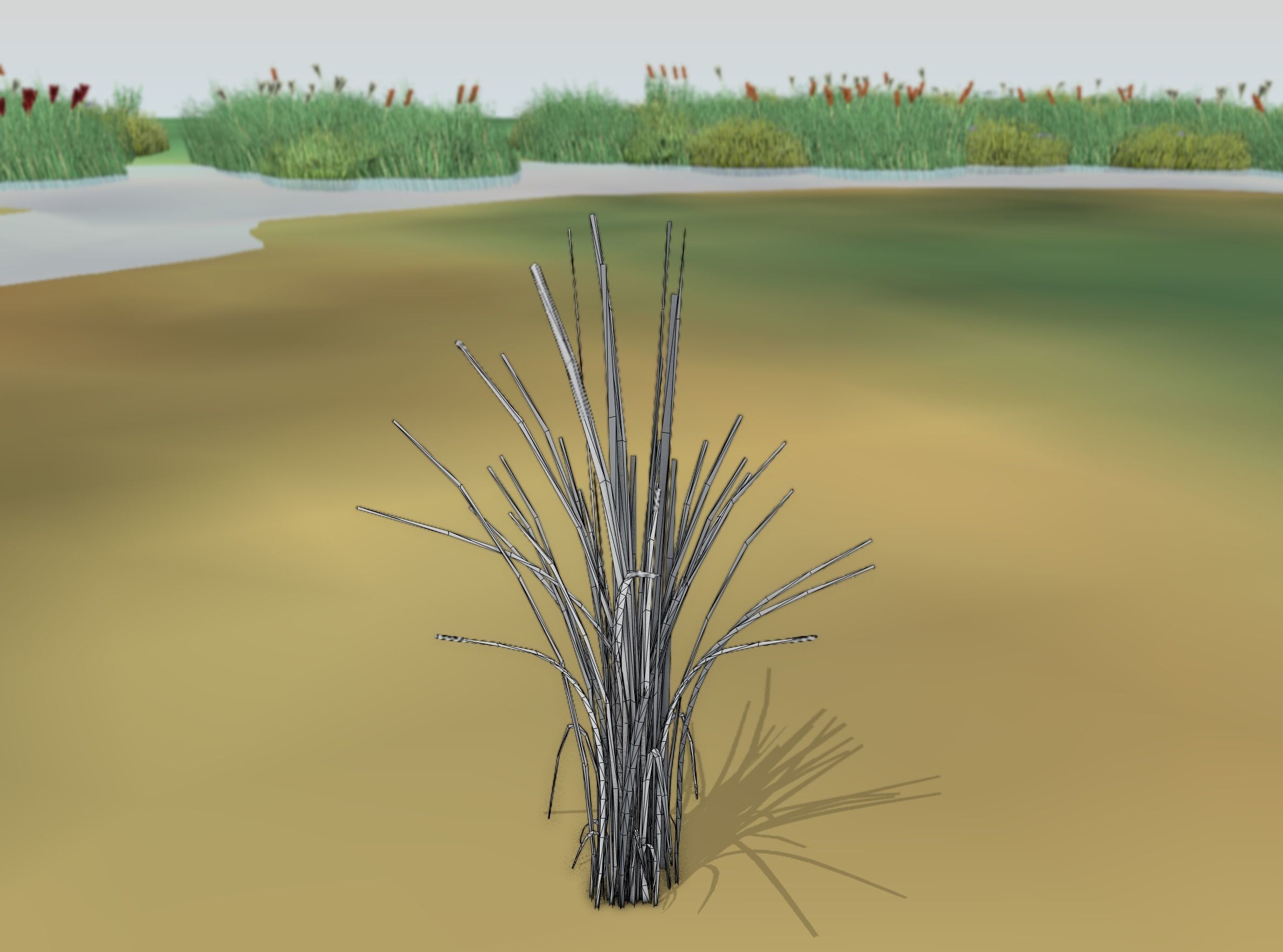 Reeds - Object 39 Low-poly 3D model_7