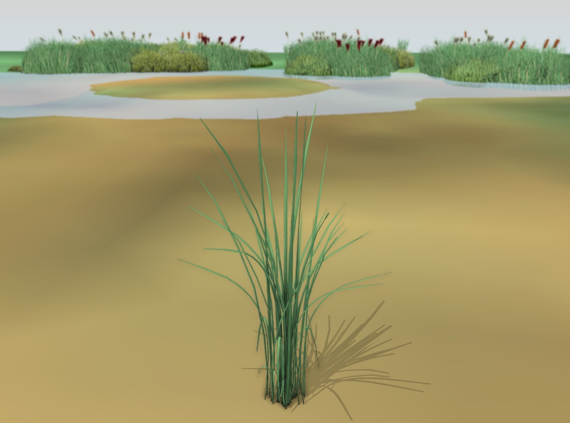 Reeds - Object 39 Low-poly 3D model_12