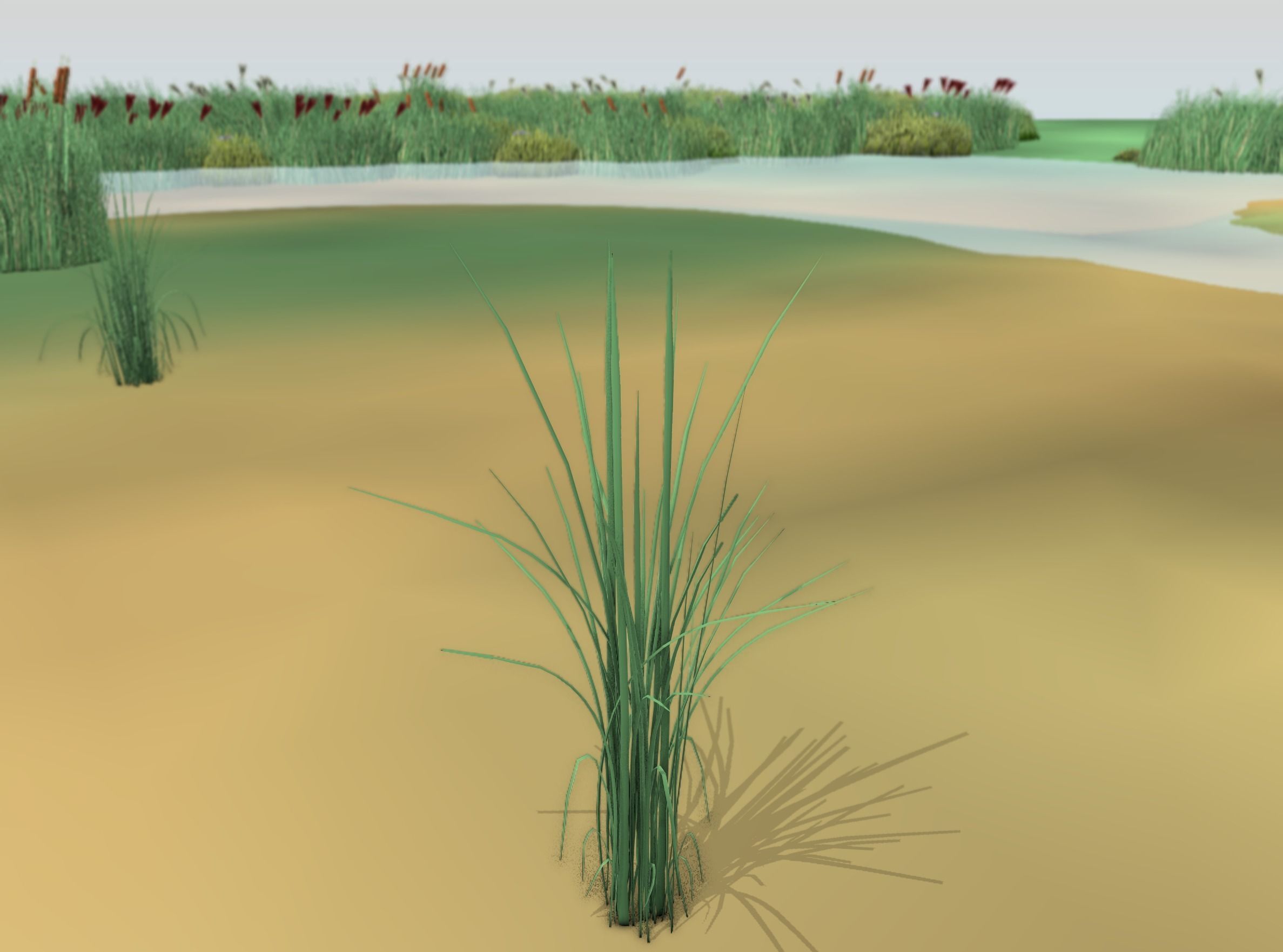 Reeds - Object 39 Low-poly 3D model_19