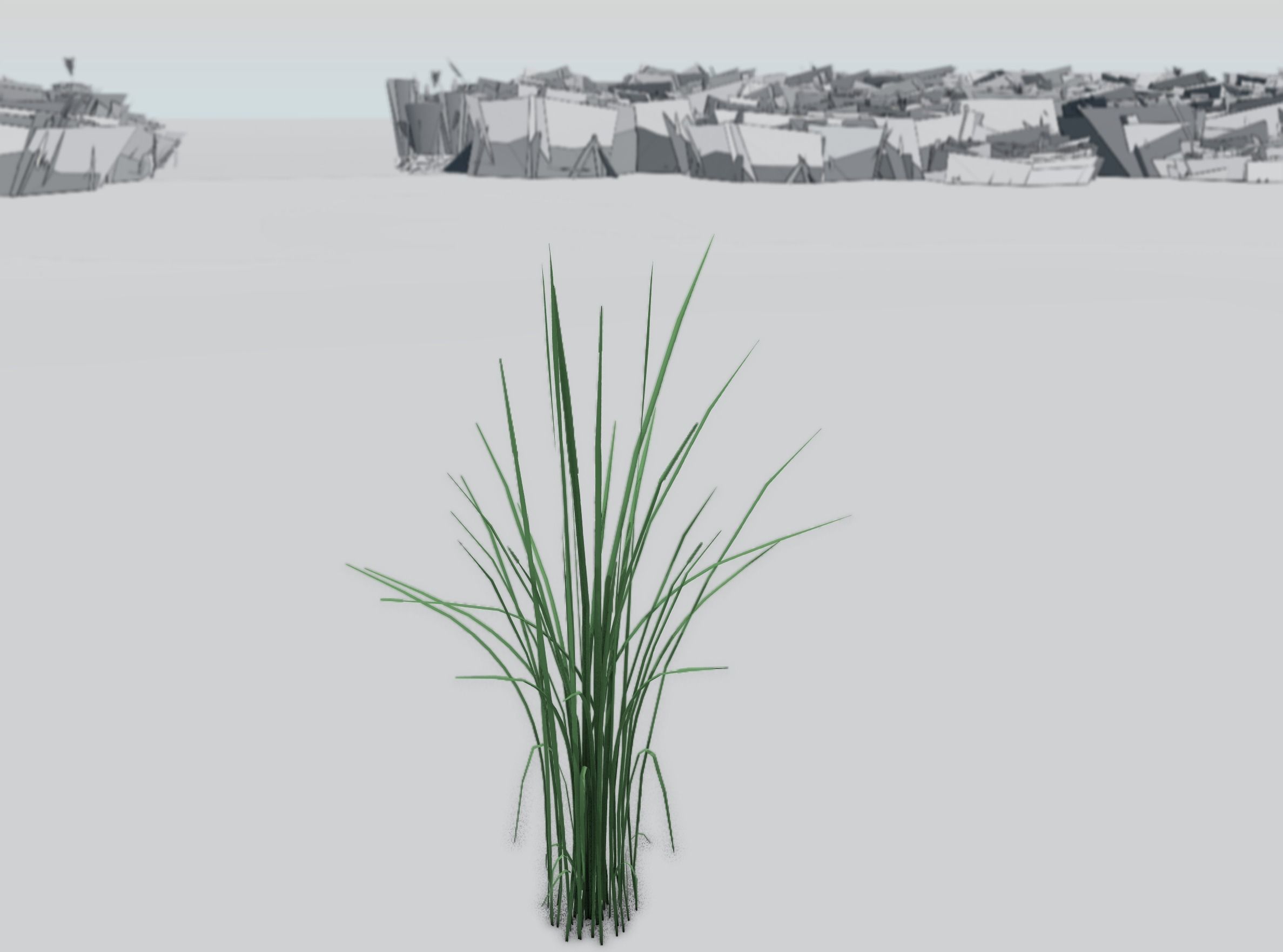 Reeds - Object 39 Low-poly 3D model_34