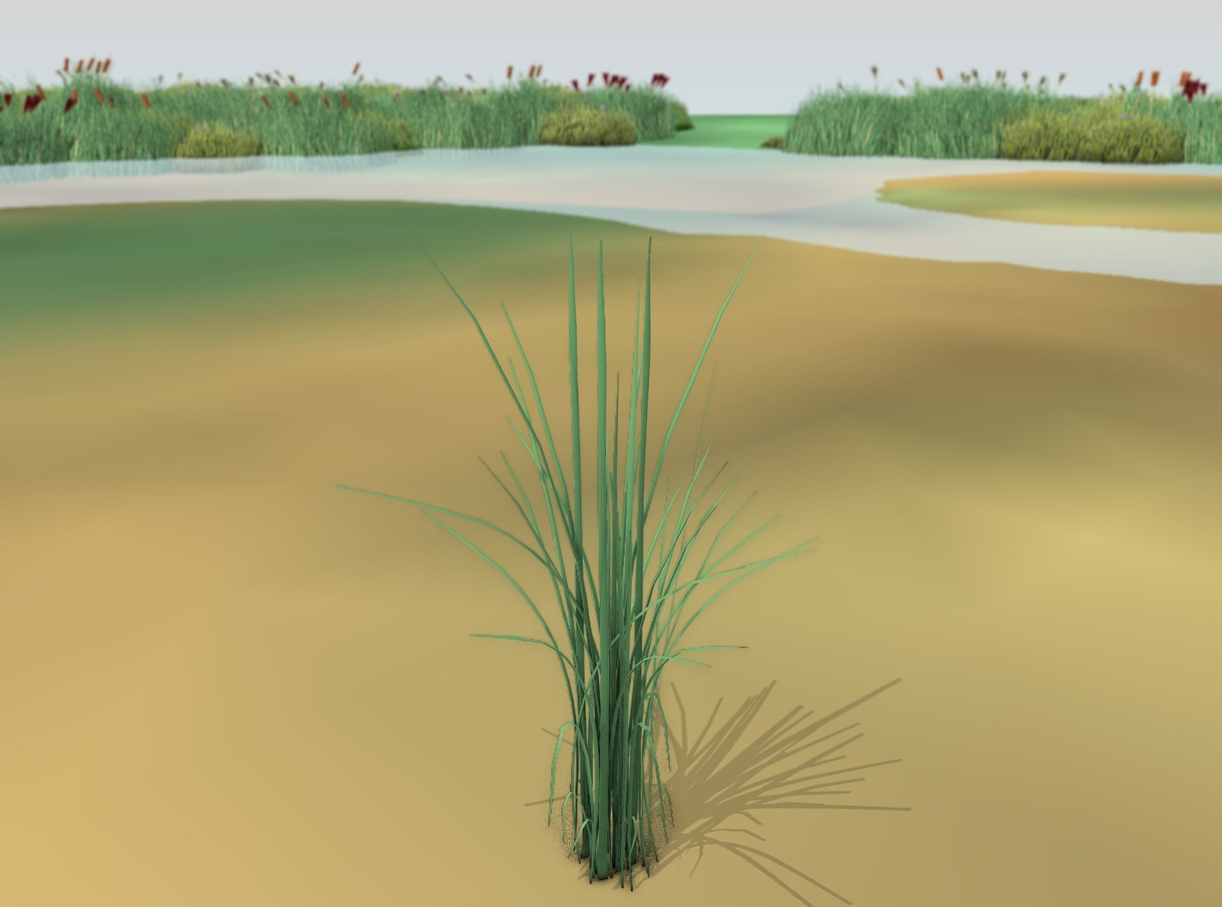 Reeds - Object 39 Low-poly 3D model_17