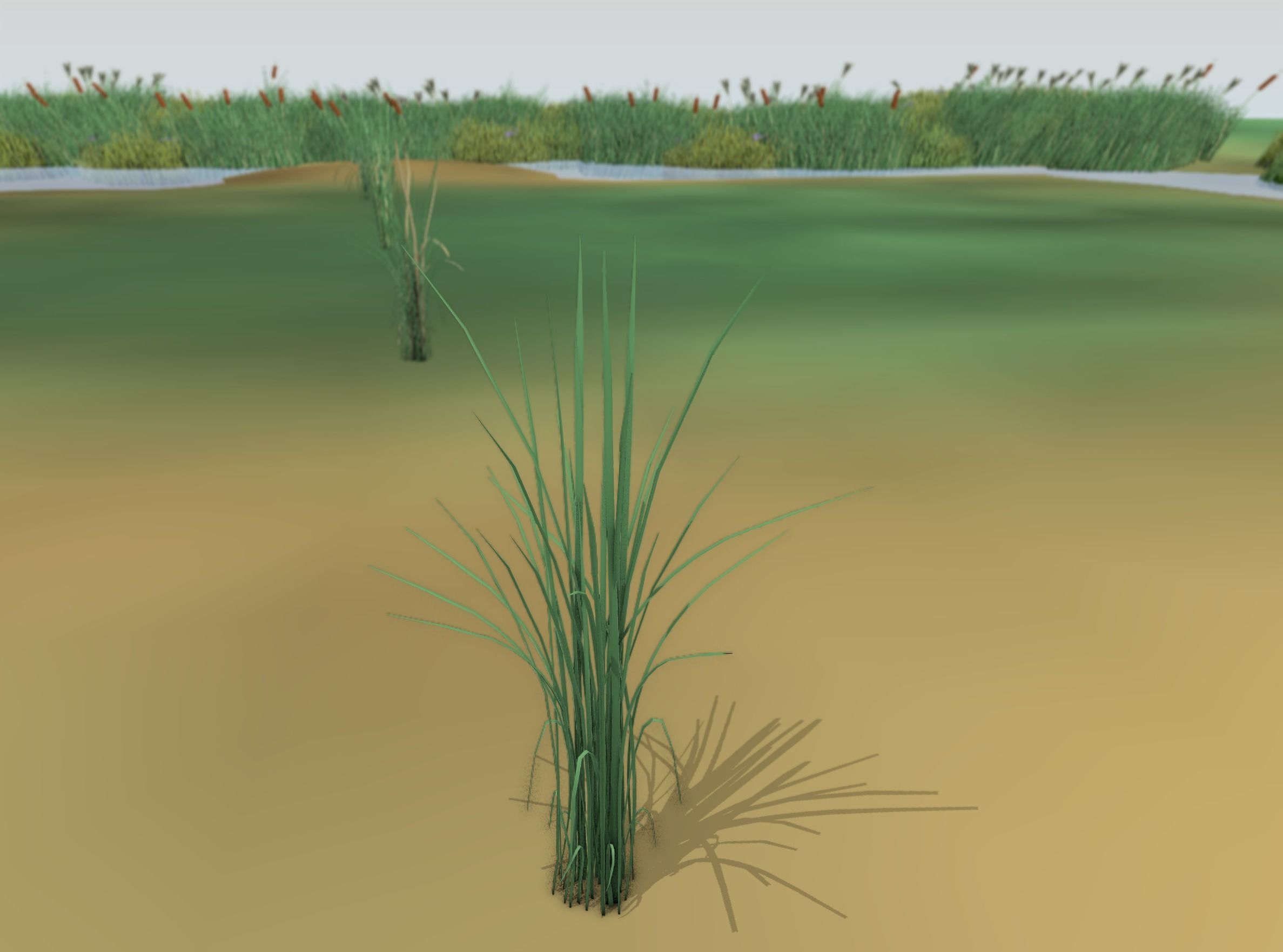 Reeds - Object 39 Low-poly 3D model_46