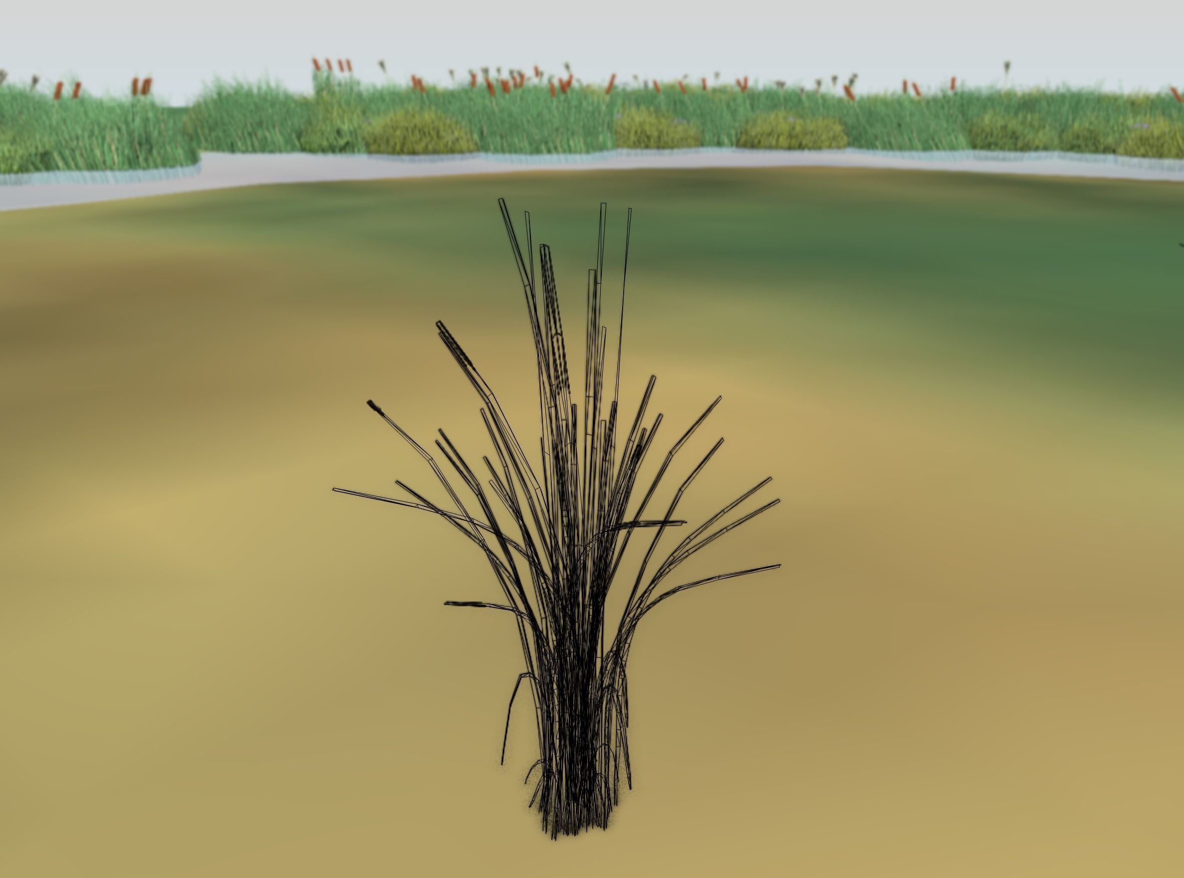 Reeds - Object 39 Low-poly 3D model_5