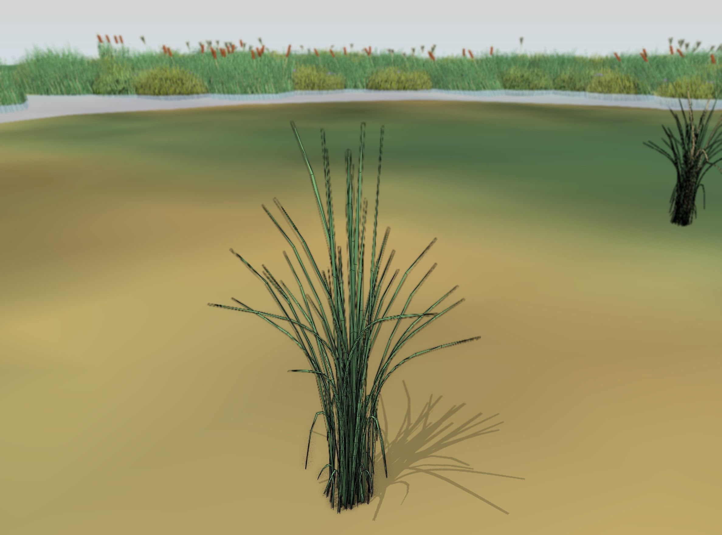Reeds - Object 39 Low-poly 3D model_4