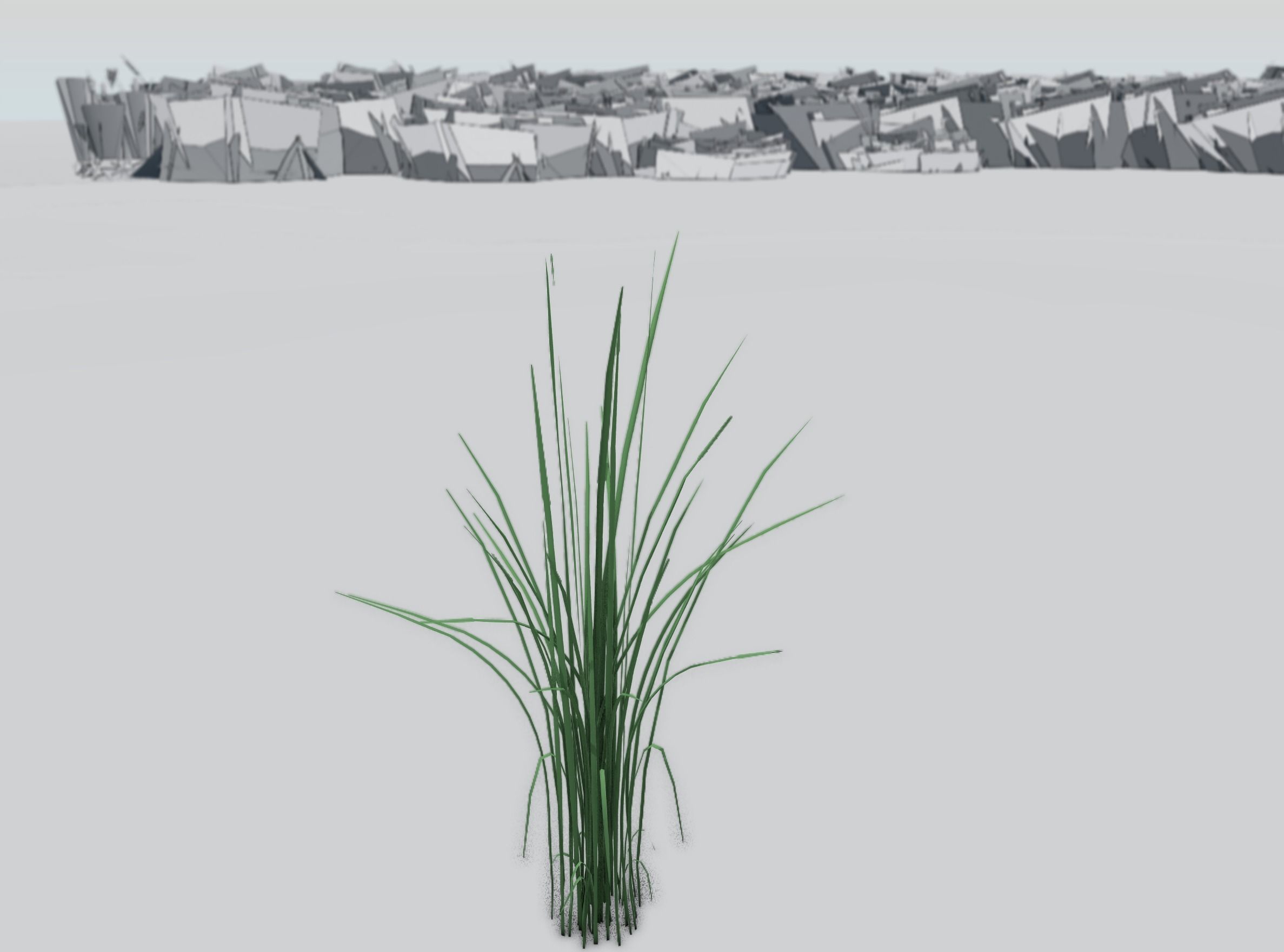 Reeds - Object 39 Low-poly 3D model_32