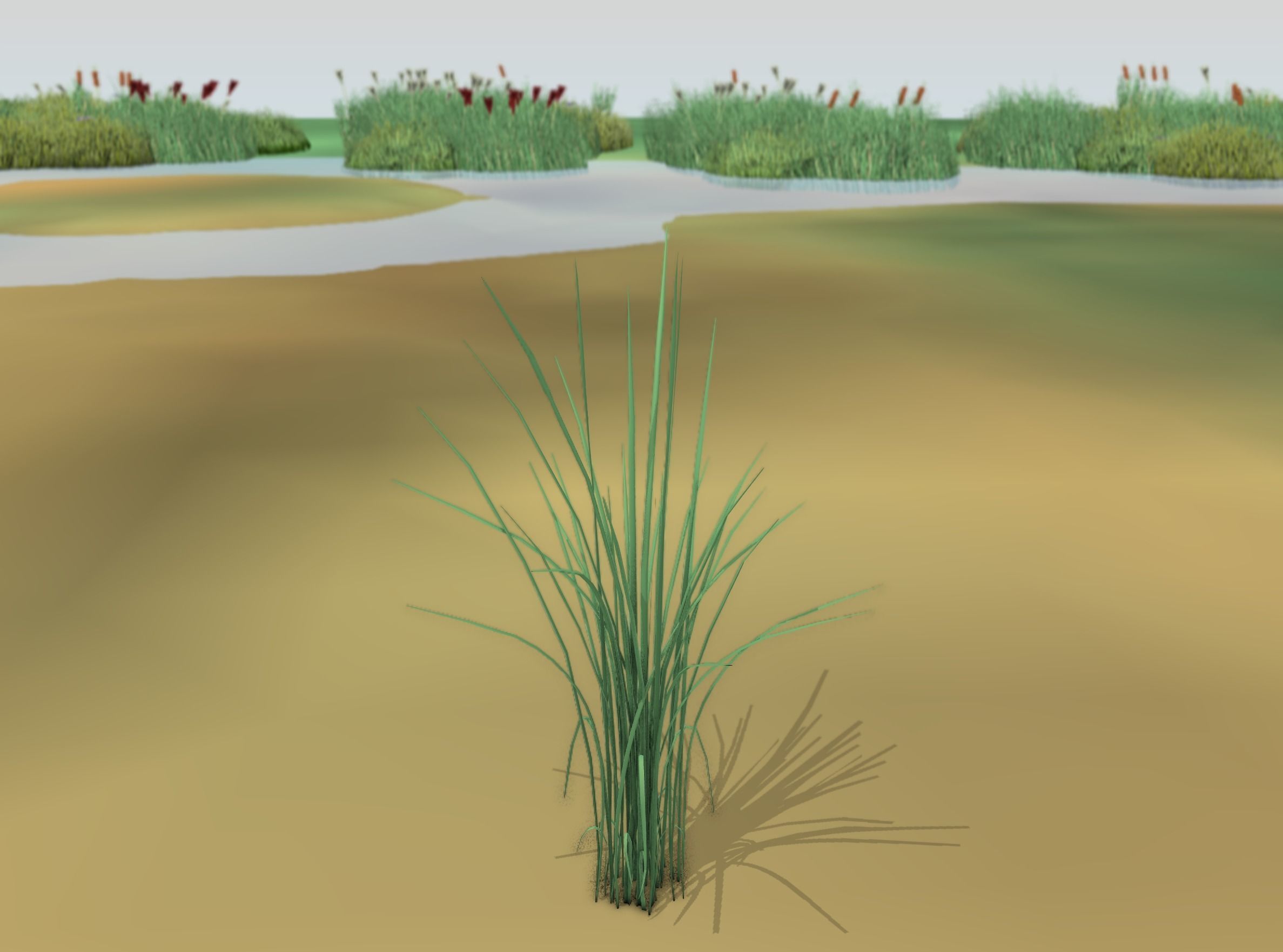 Reeds - Object 39 Low-poly 3D model_10