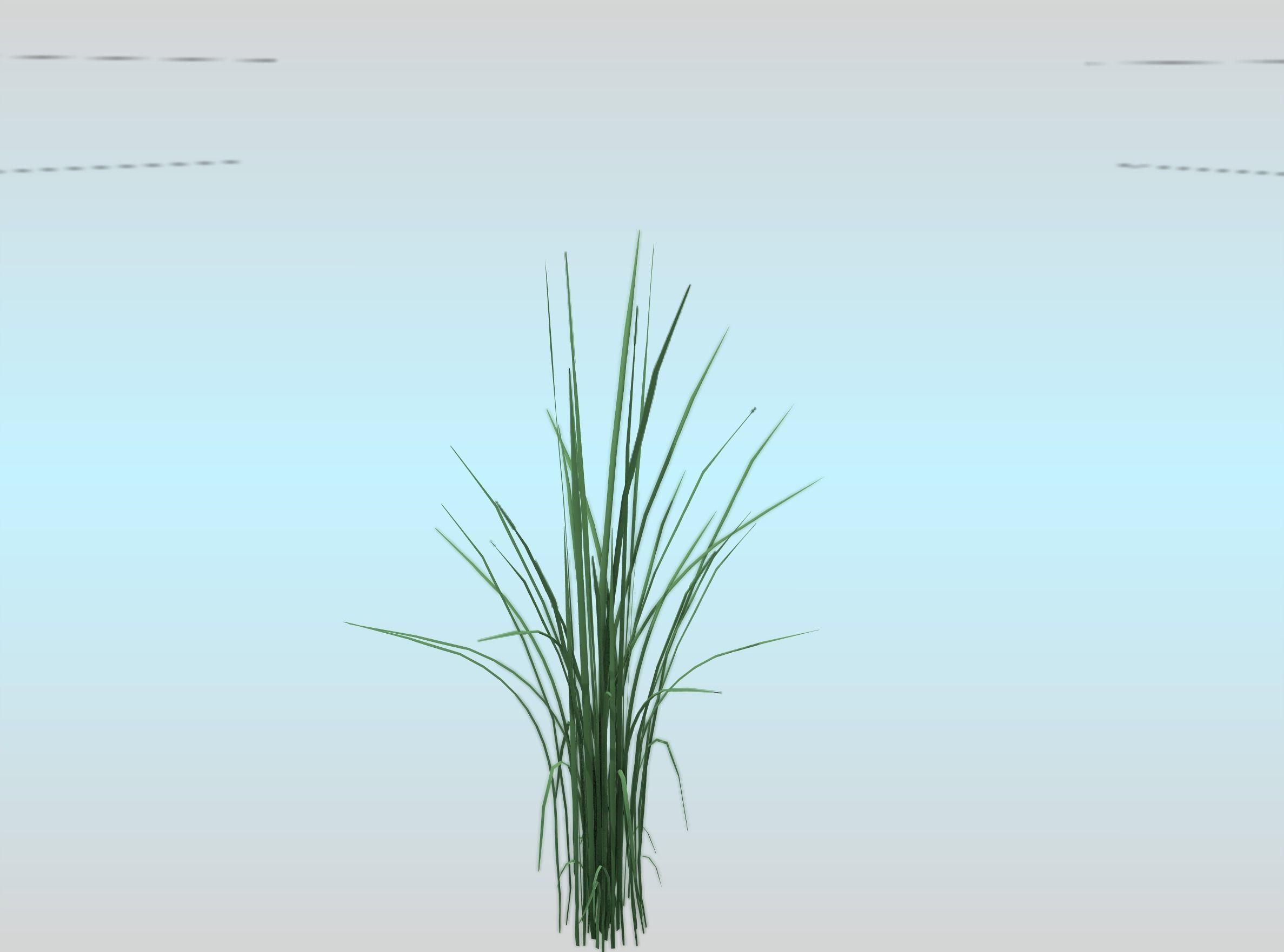 Reeds - Object 39 Low-poly 3D model_30