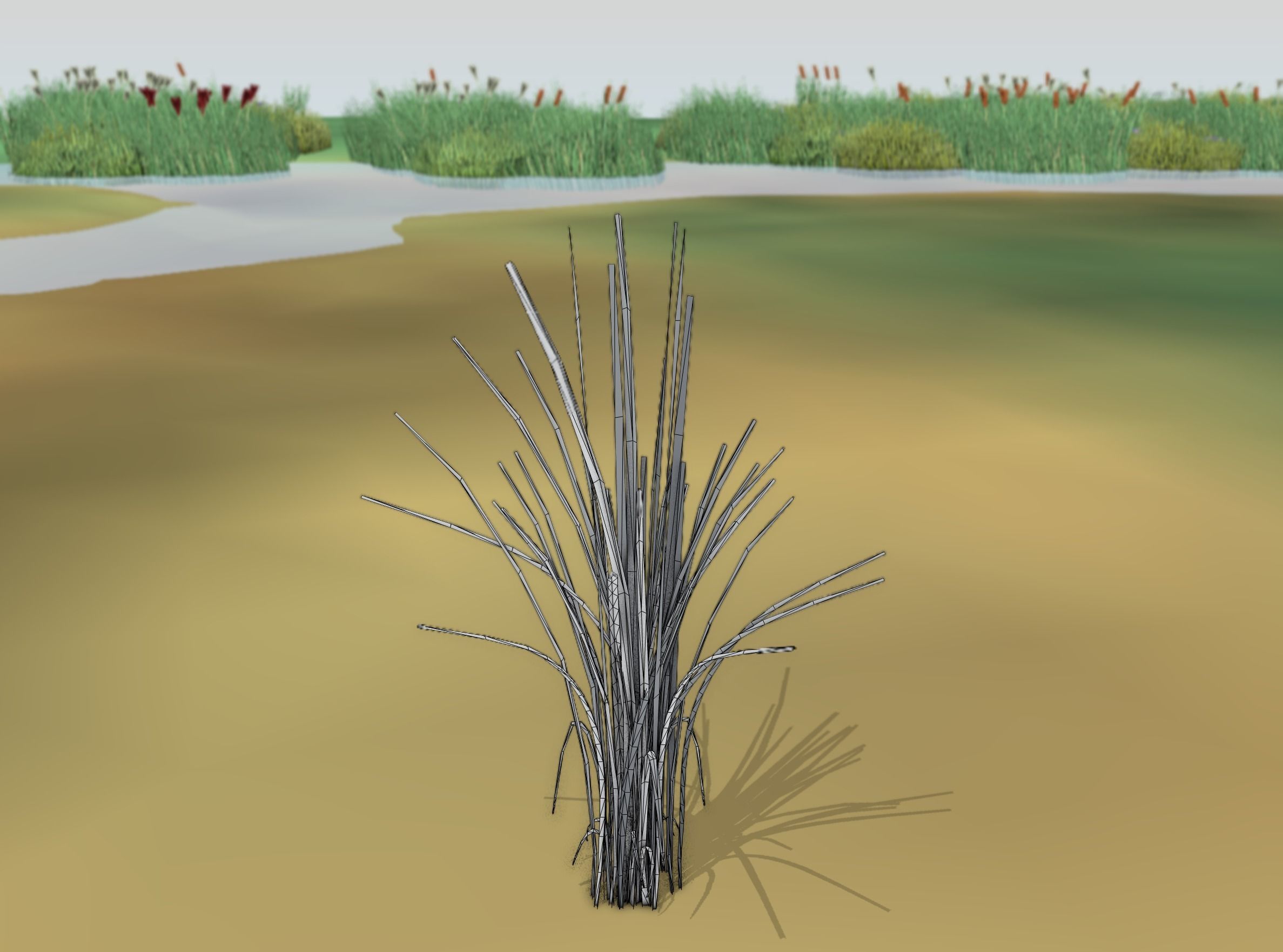 Reeds - Object 39 Low-poly 3D model_8