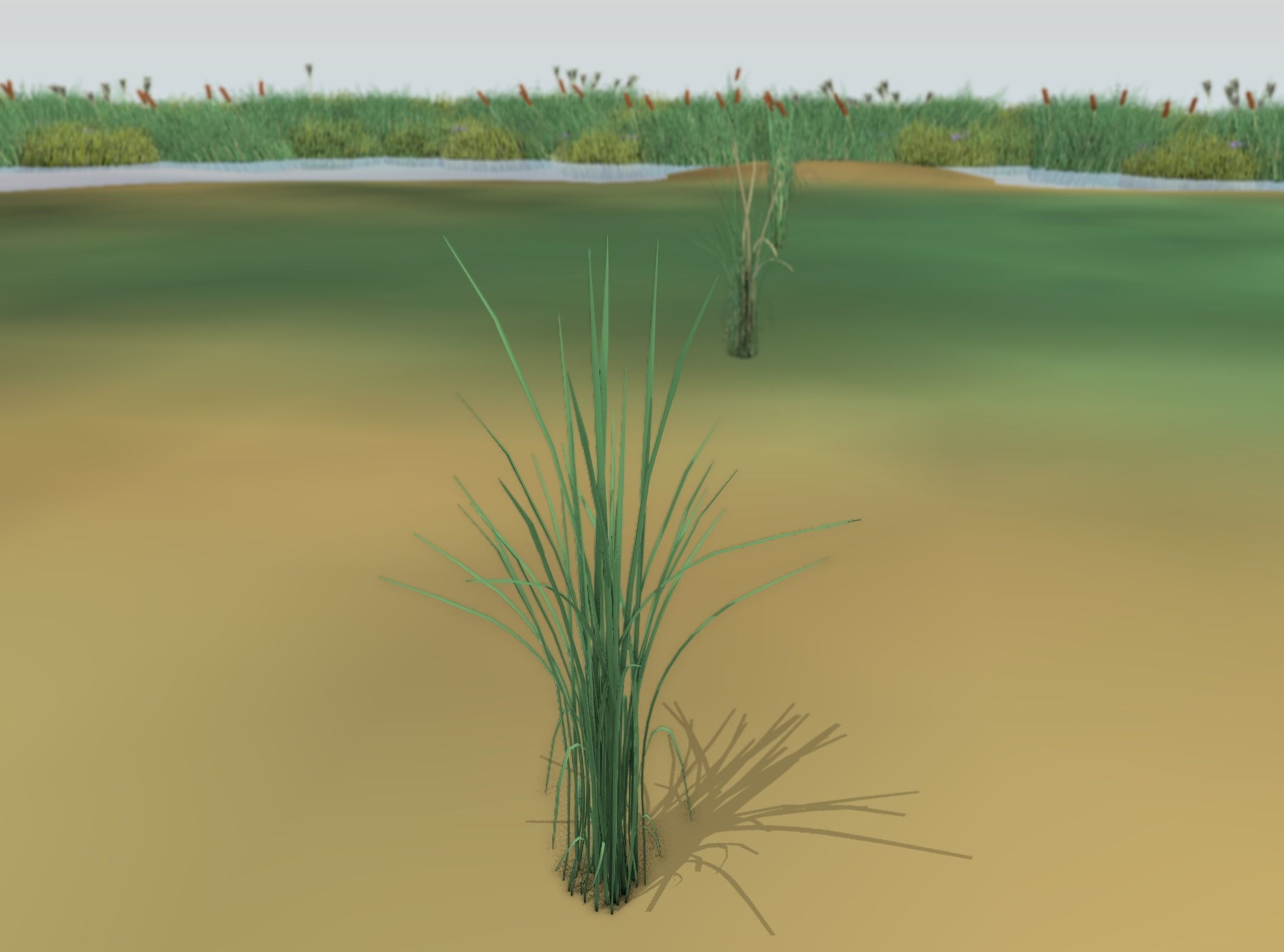 Reeds - Object 39 Low-poly 3D model_49