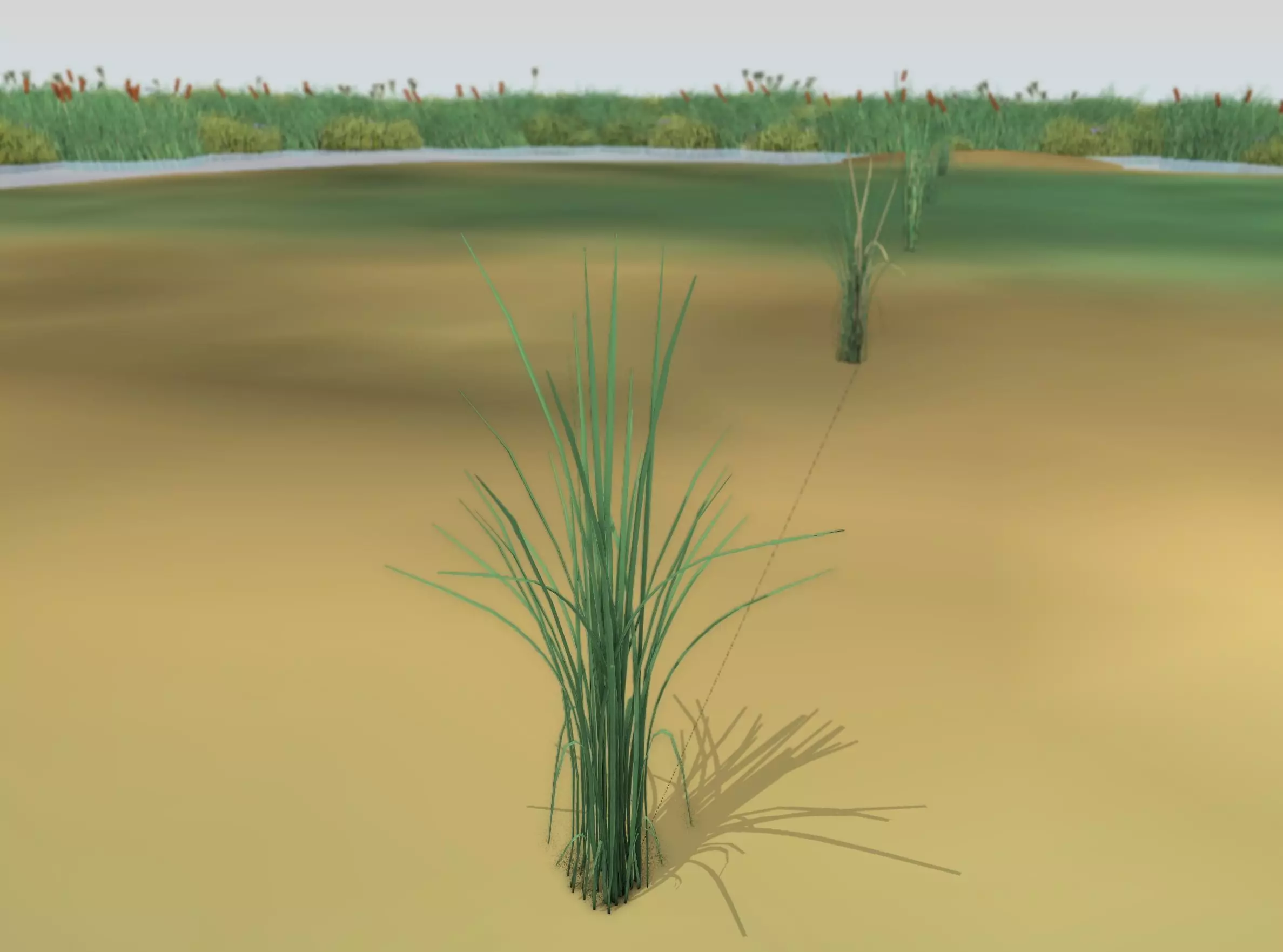 Reeds - Object 39 Low-poly 3D model_0