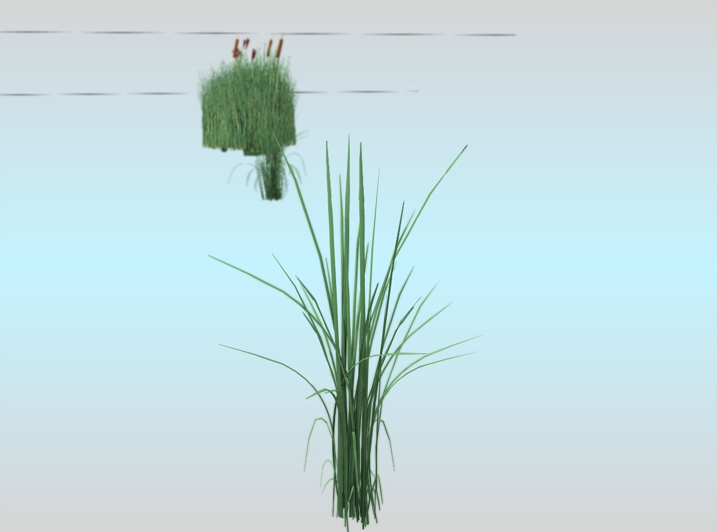 Reeds - Object 39 Low-poly 3D model_22