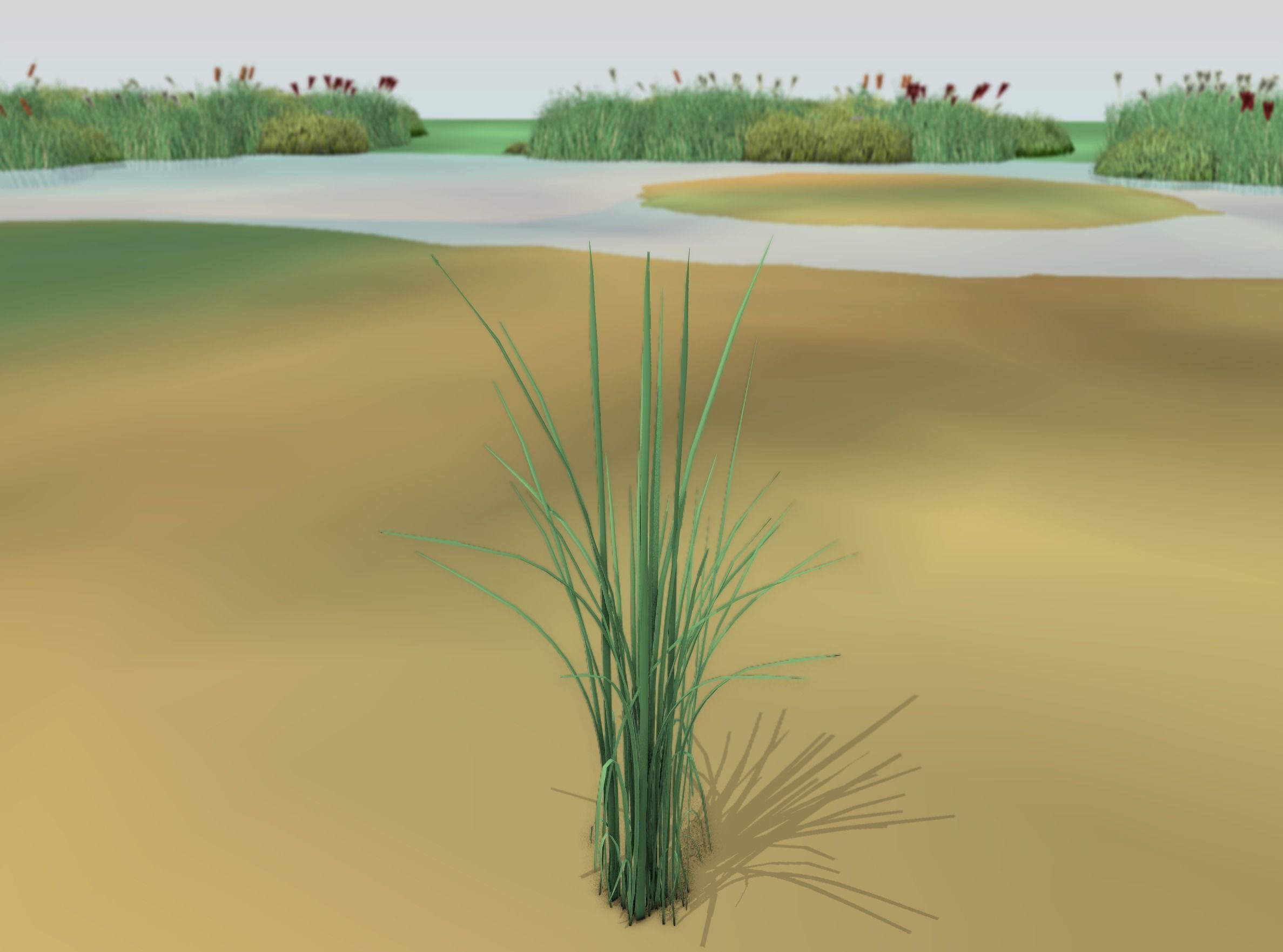 Reeds - Object 39 Low-poly 3D model_15