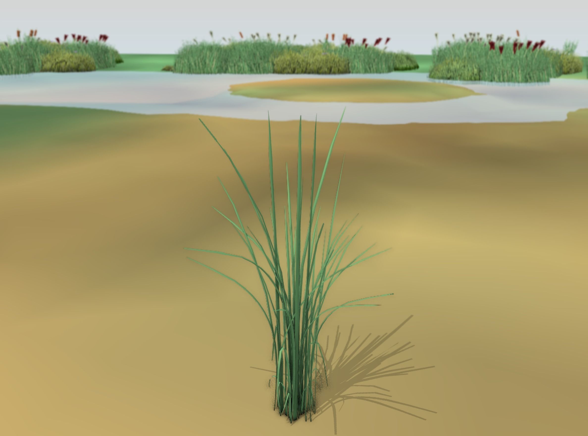 Reeds - Object 39 Low-poly 3D model_14