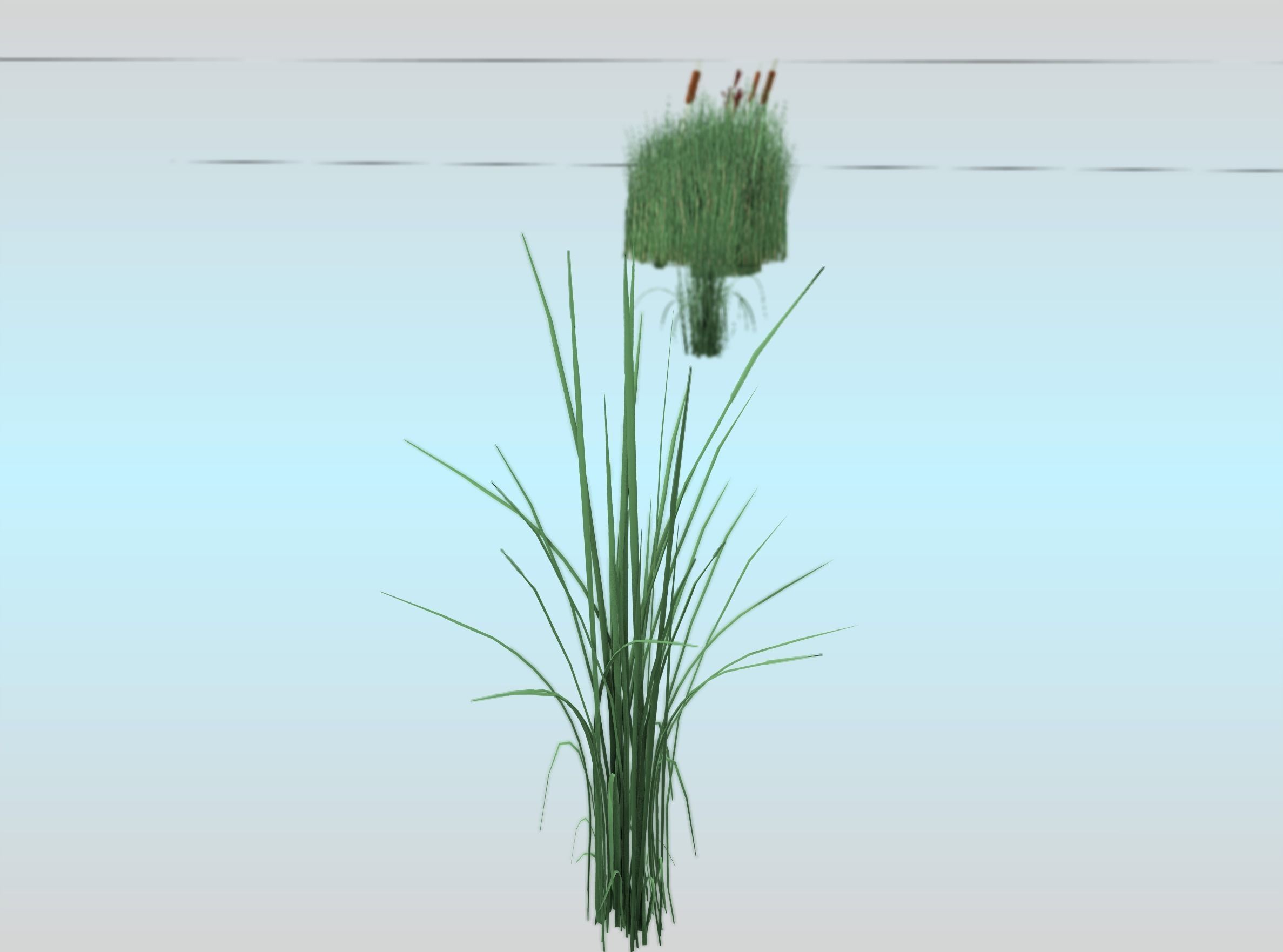 Reeds - Object 39 Low-poly 3D model_24