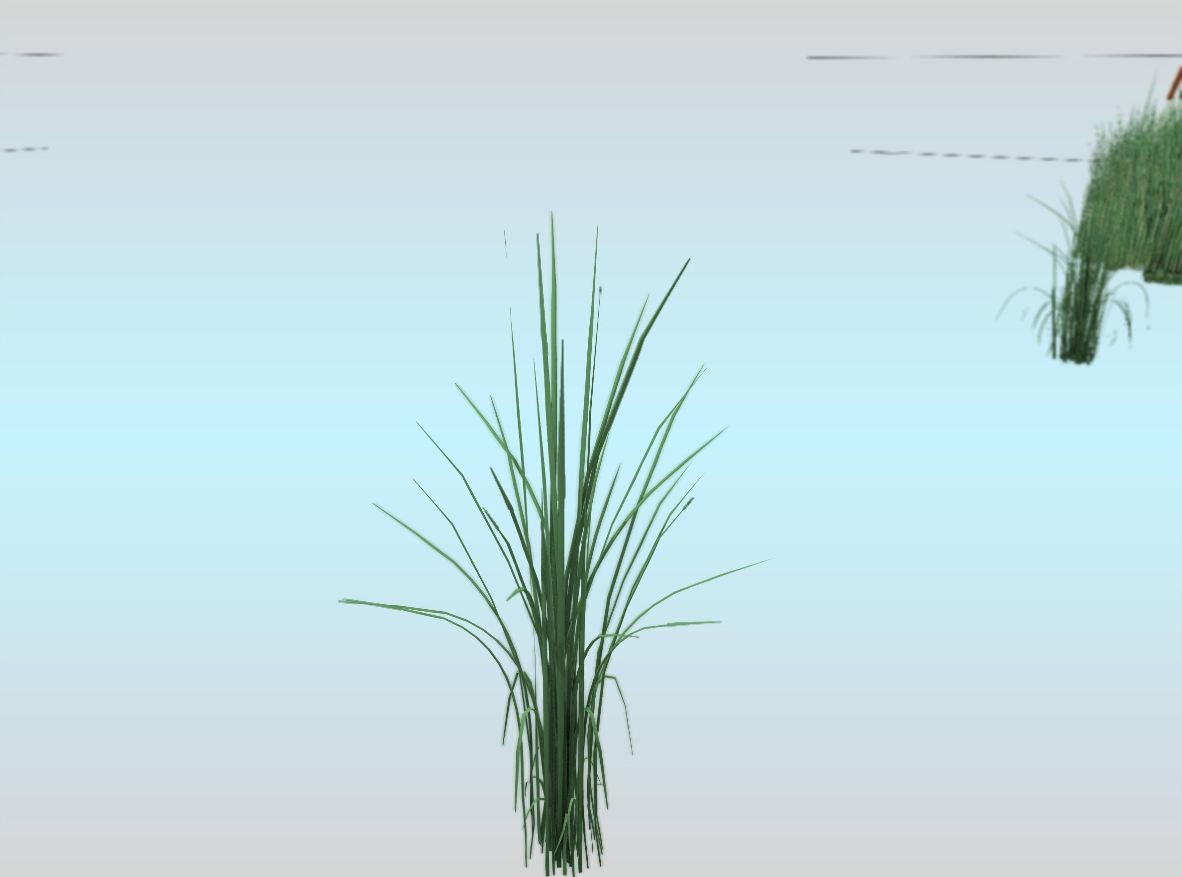 Reeds - Object 39 Low-poly 3D model_28