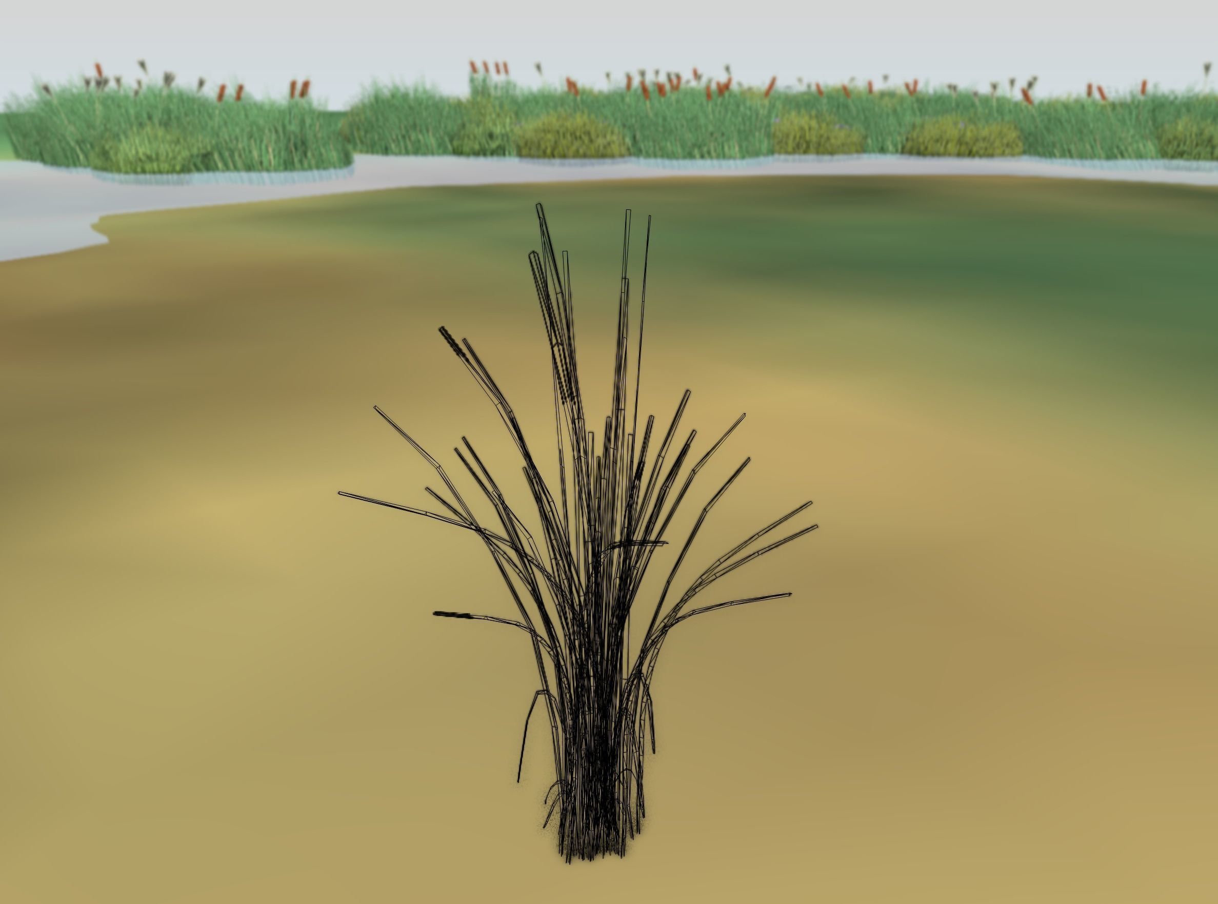 Reeds - Object 39 Low-poly 3D model_6