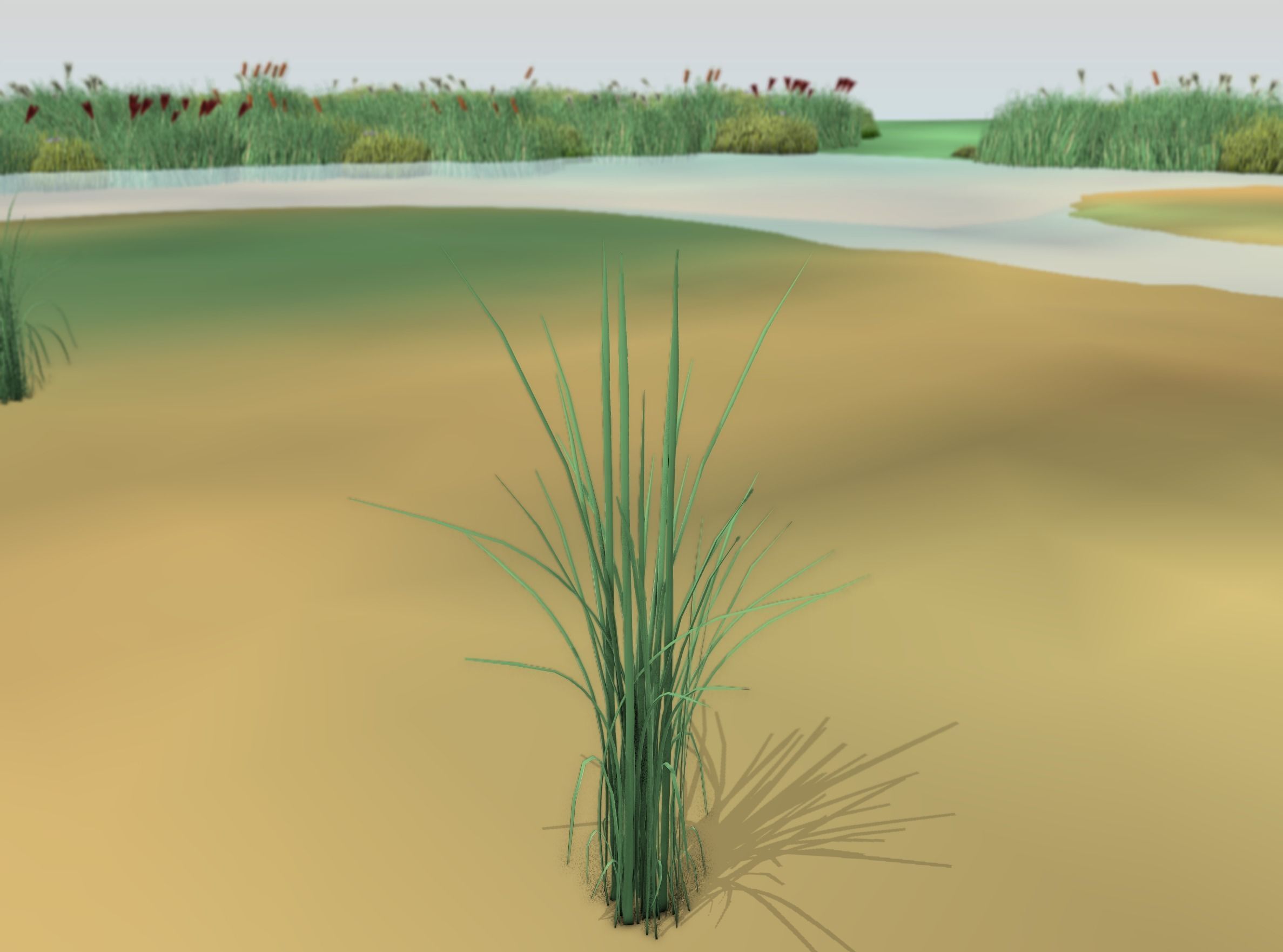 Reeds - Object 39 Low-poly 3D model_18