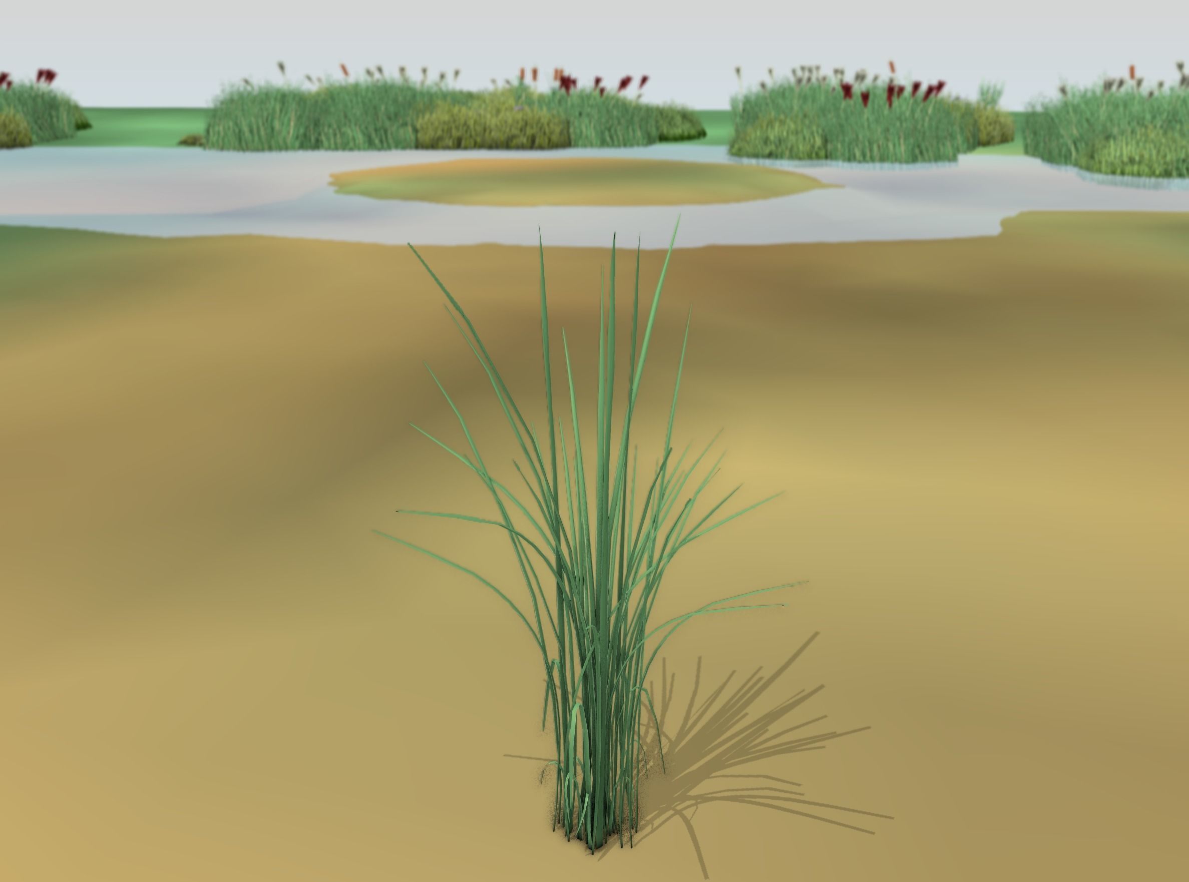 Reeds - Object 39 Low-poly 3D model_13
