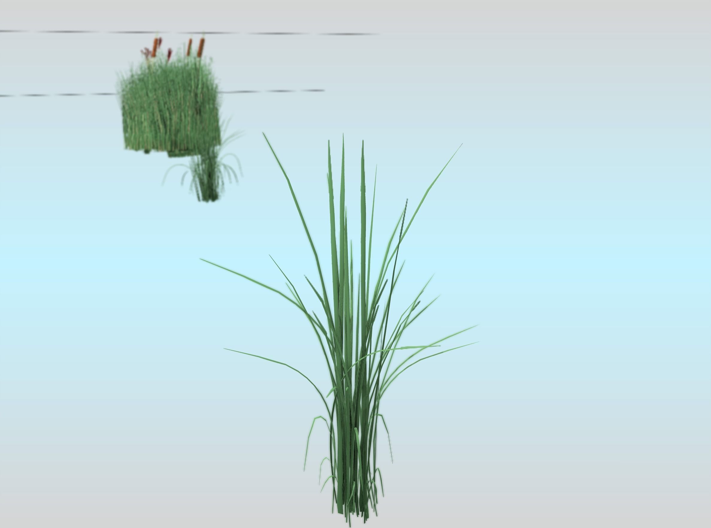 Reeds - Object 39 Low-poly 3D model_21