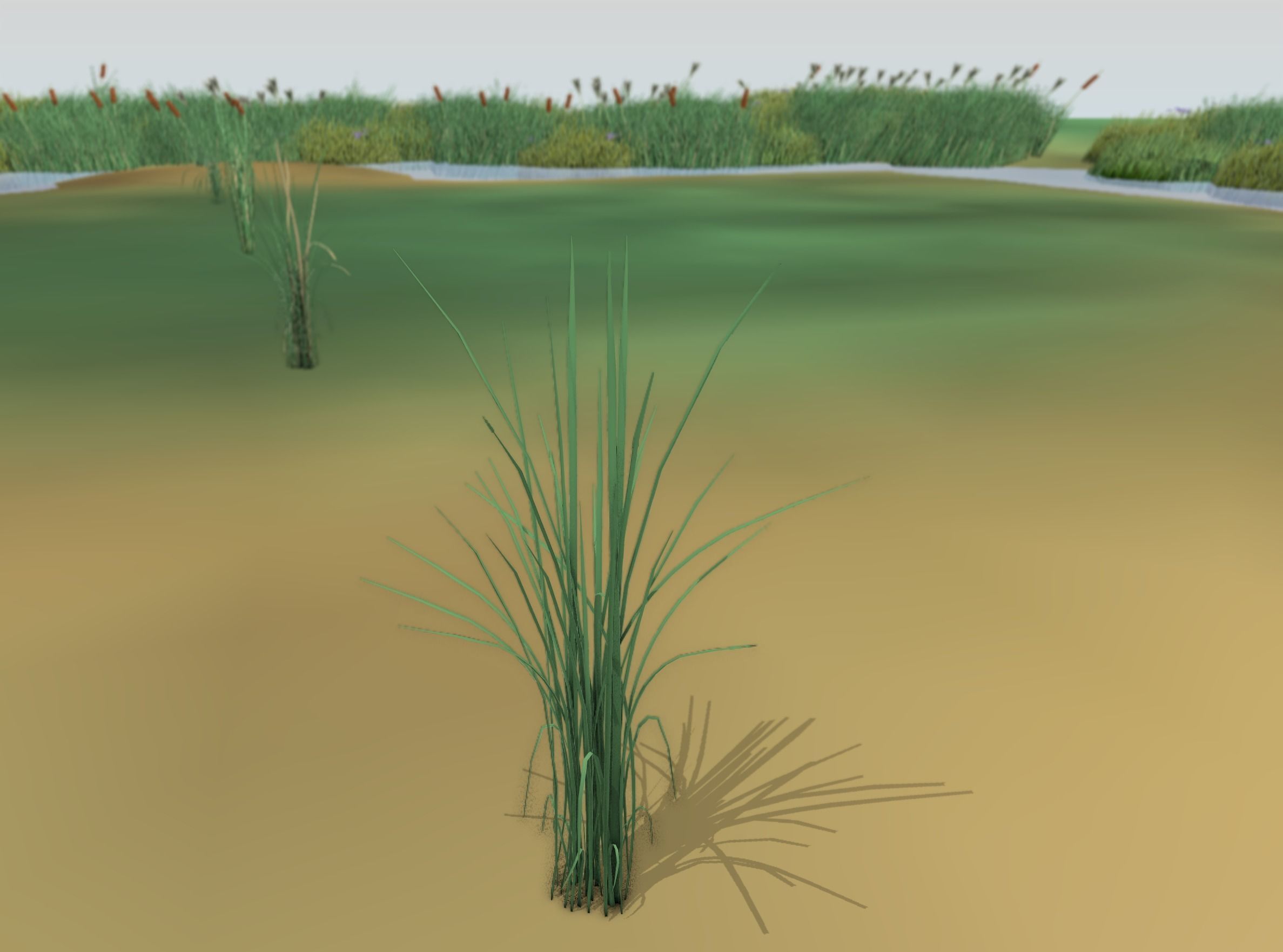 Reeds - Object 39 Low-poly 3D model_45