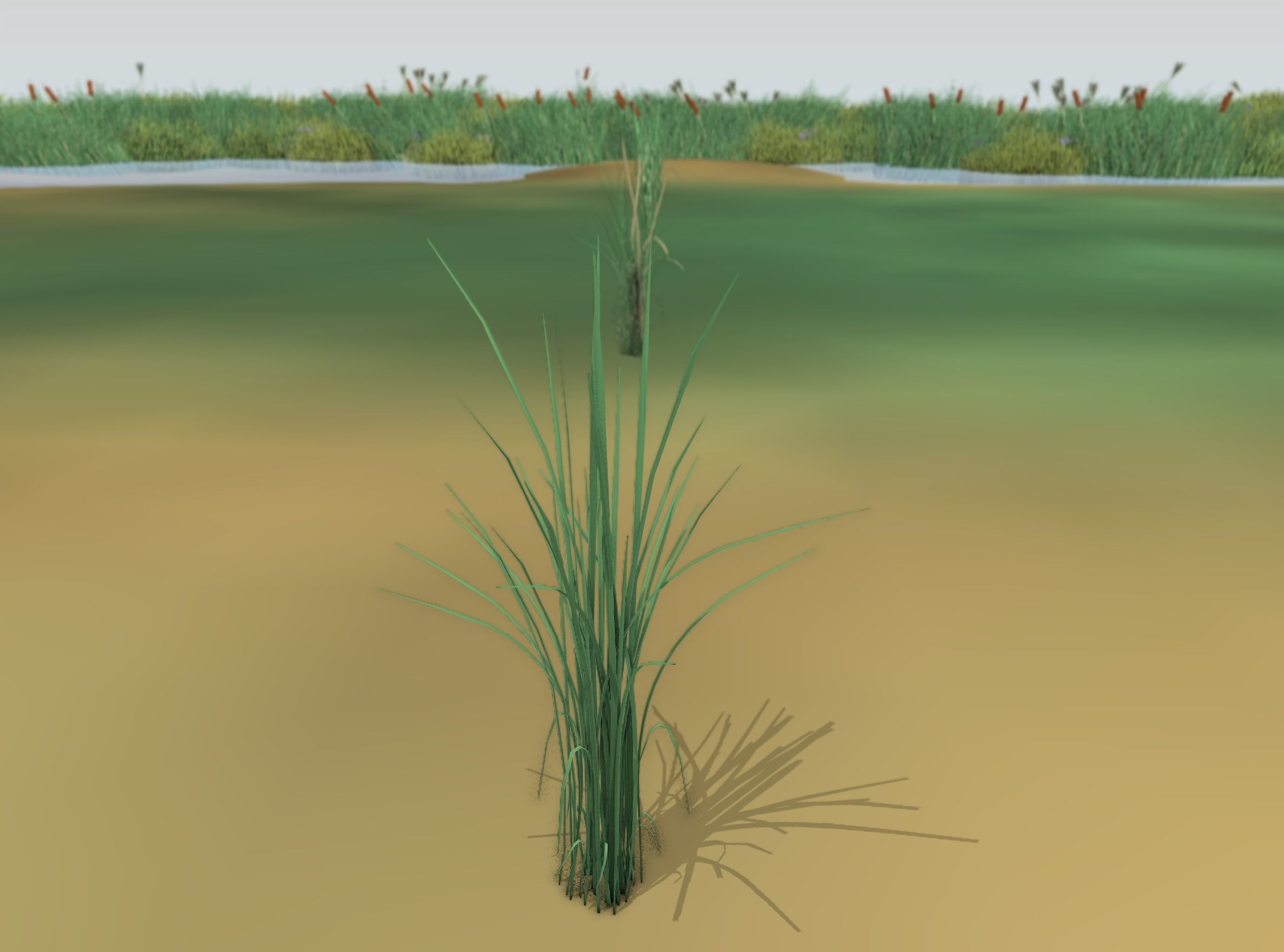 Reeds - Object 39 Low-poly 3D model_48
