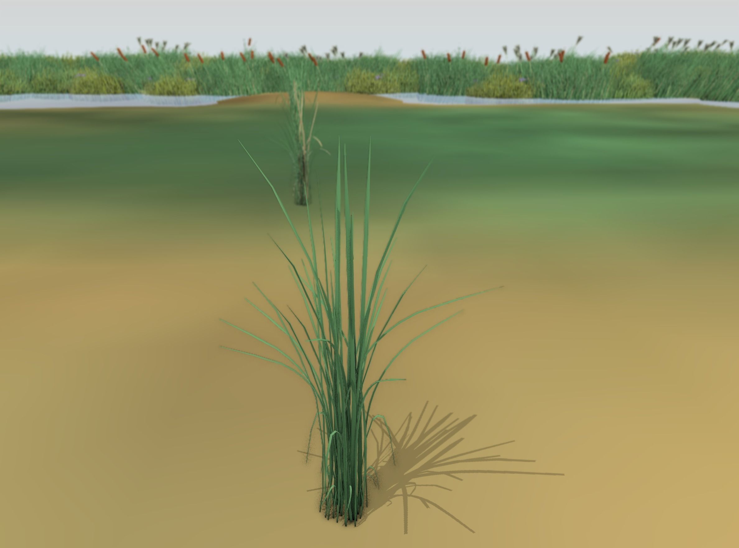 Reeds - Object 39 Low-poly 3D model_47