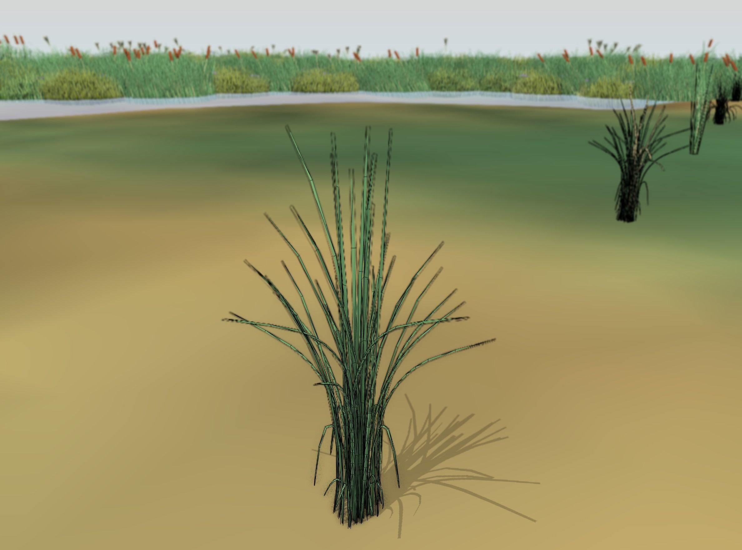 Reeds - Object 39 Low-poly 3D model_3