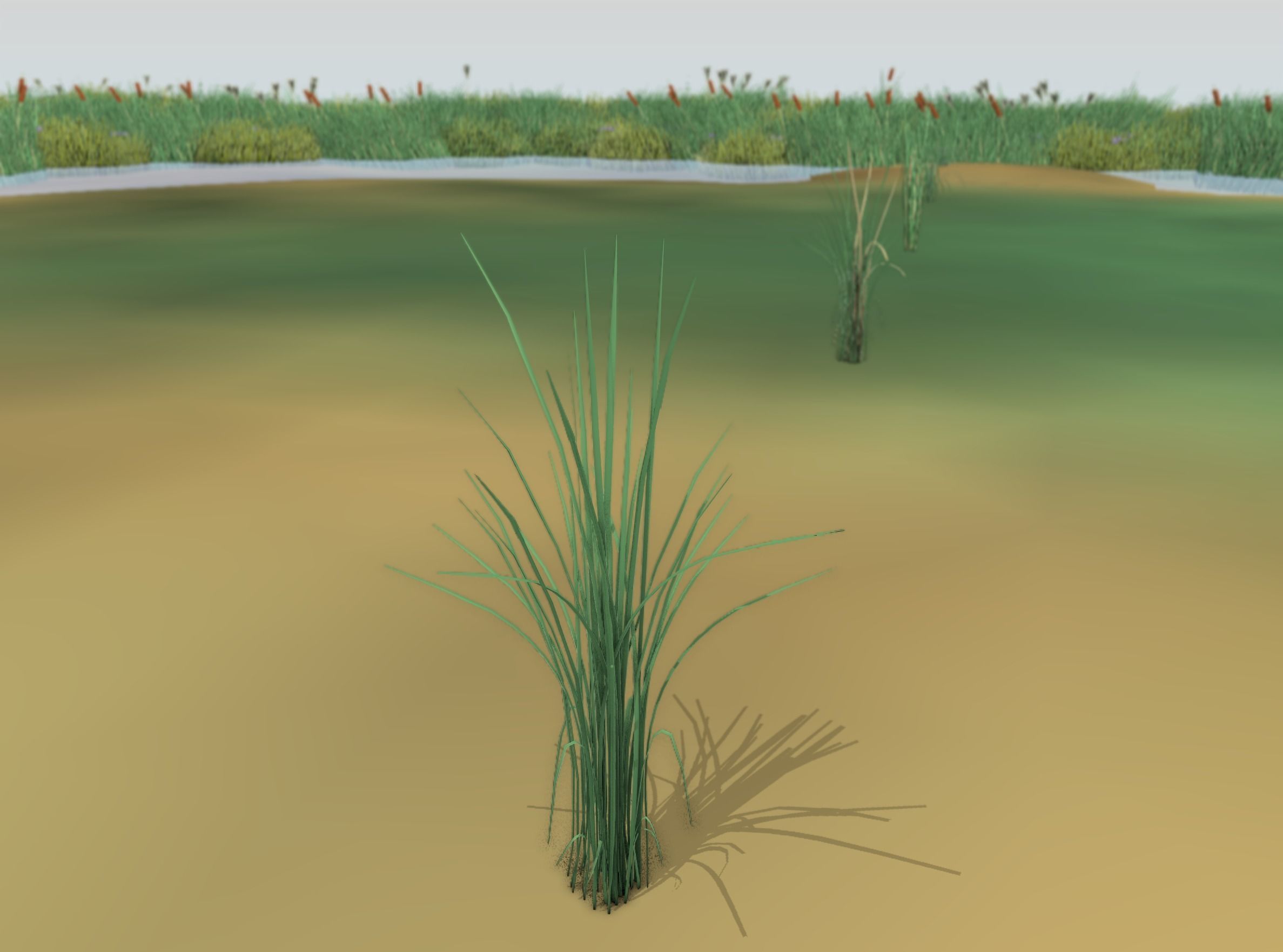 Reeds - Object 39 Low-poly 3D model_50