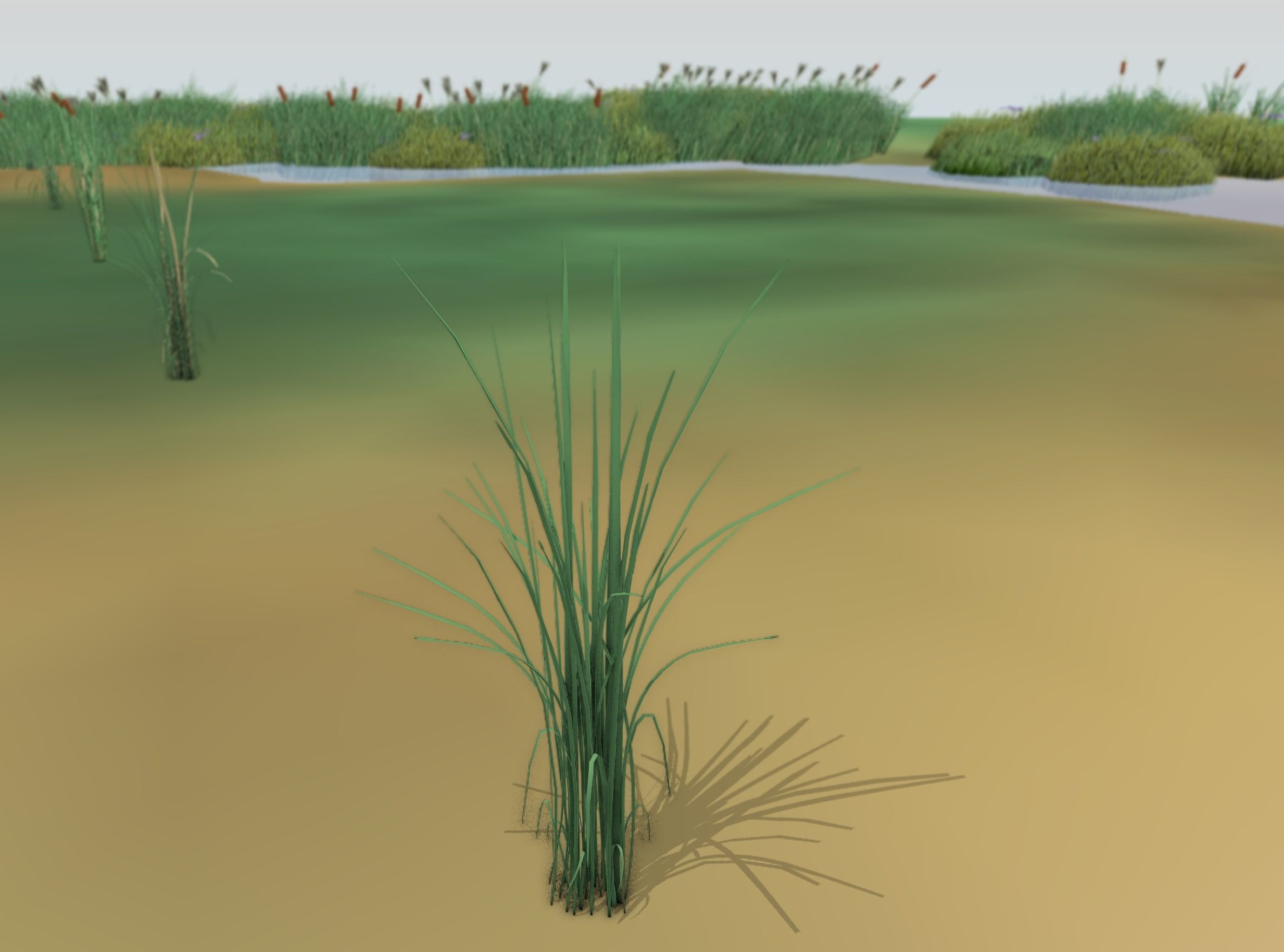 Reeds - Object 39 Low-poly 3D model_44
