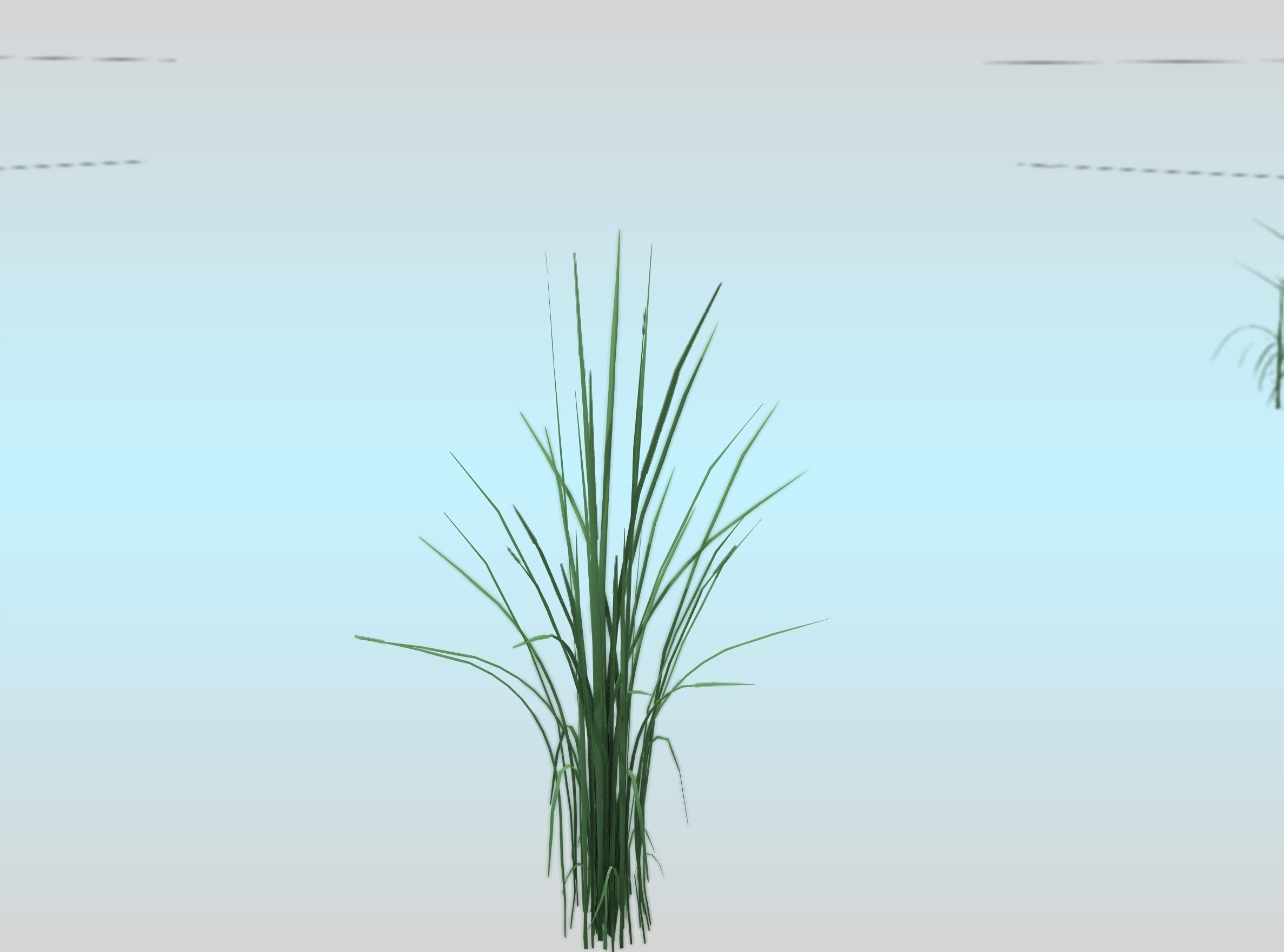 Reeds - Object 39 Low-poly 3D model_29