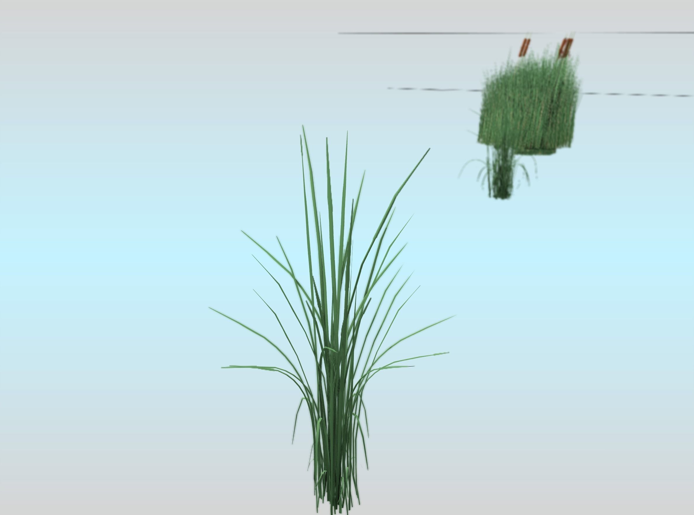 Reeds - Object 39 Low-poly 3D model_26
