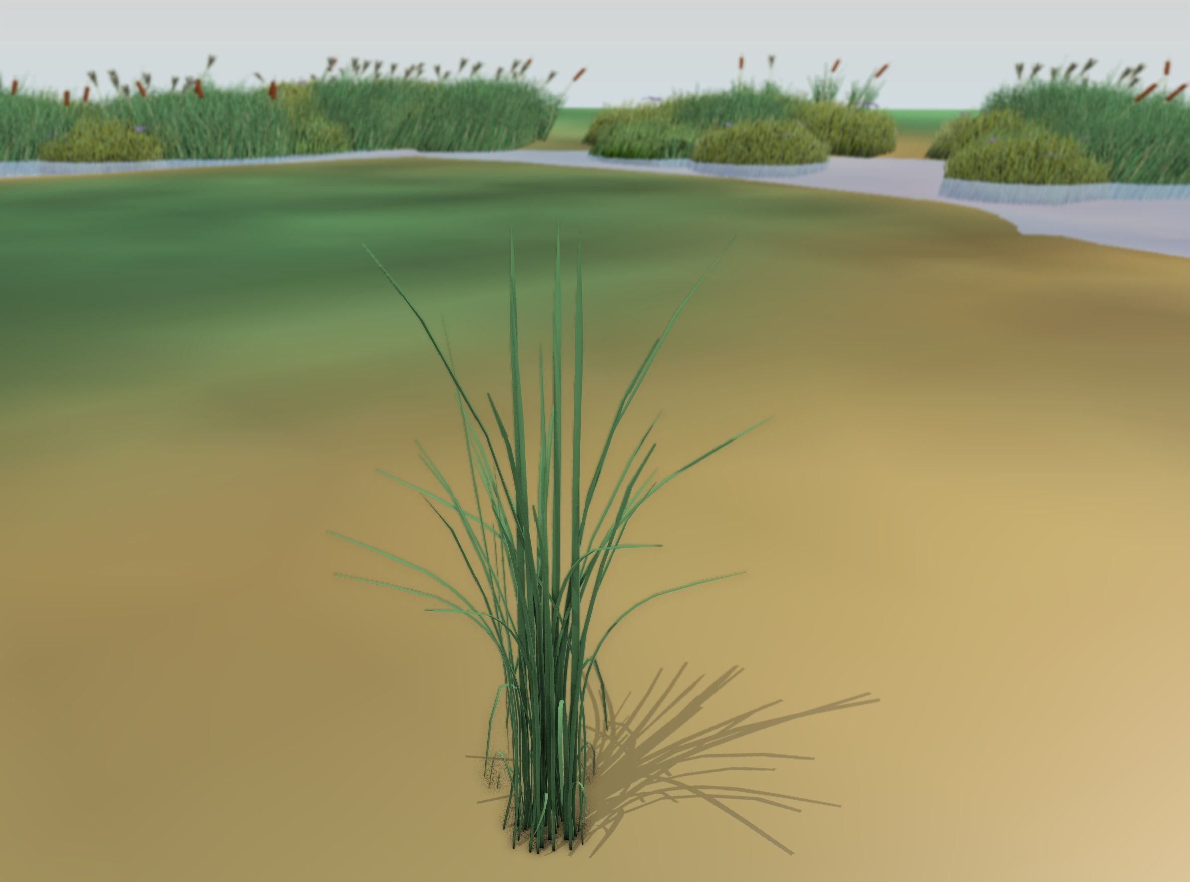 Reeds - Object 39 Low-poly 3D model_42