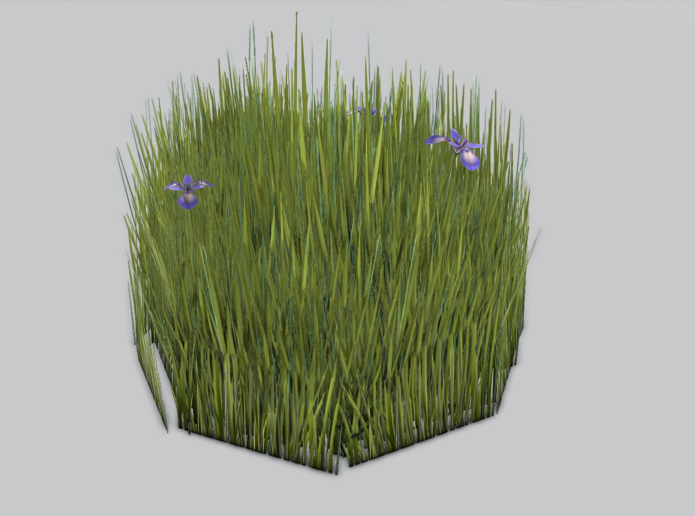 Reeds - Object 48 Low-poly 3D model_31