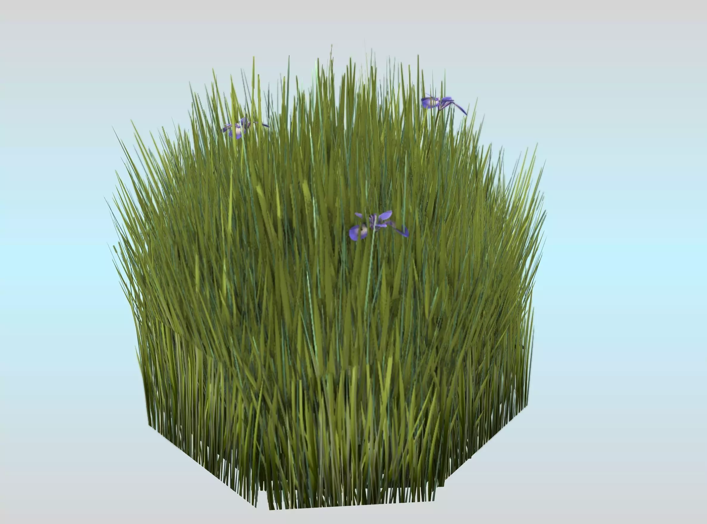 Reeds - Object 48 Low-poly 3D model_0