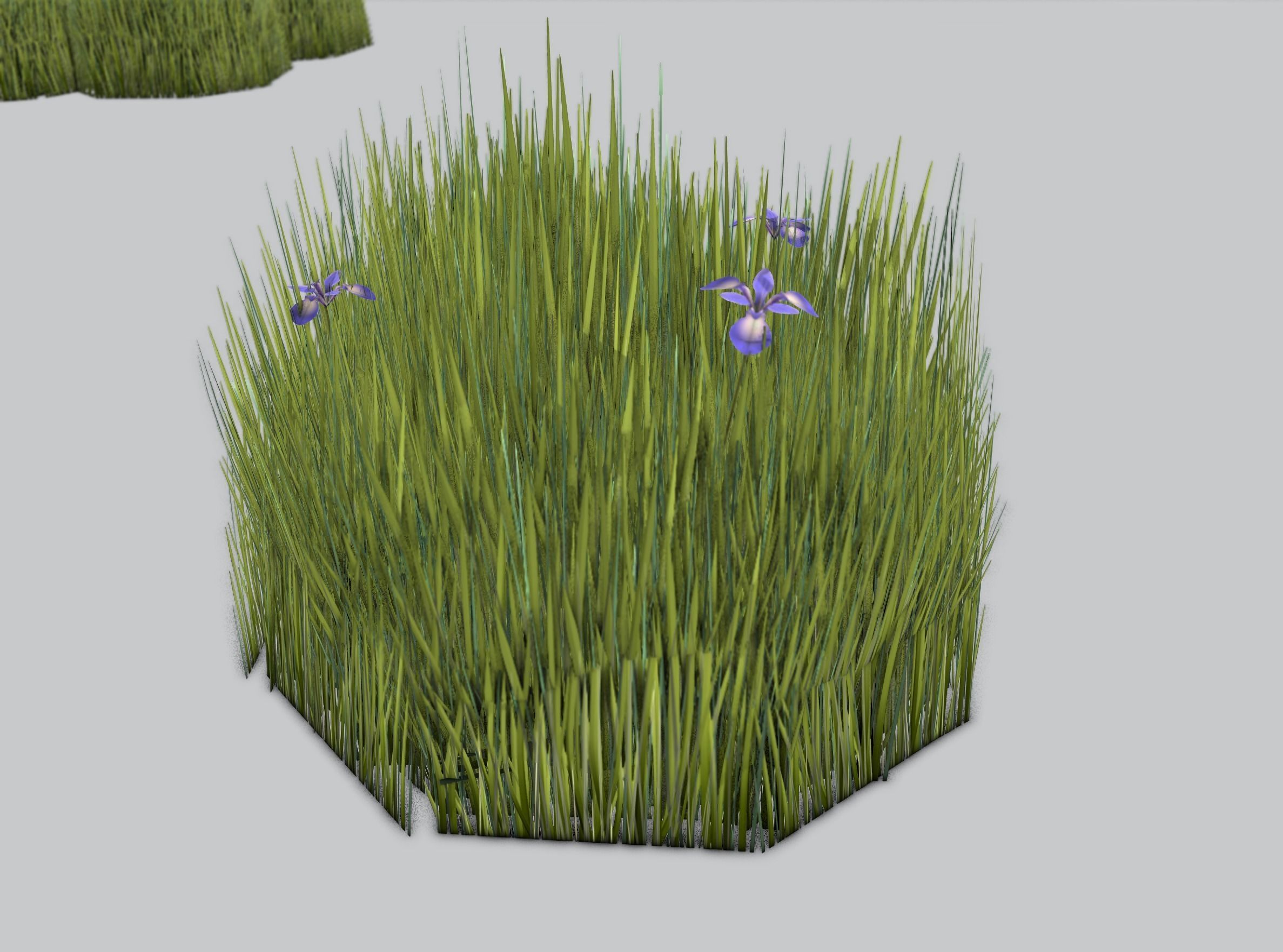 Reeds - Object 48 Low-poly 3D model_35