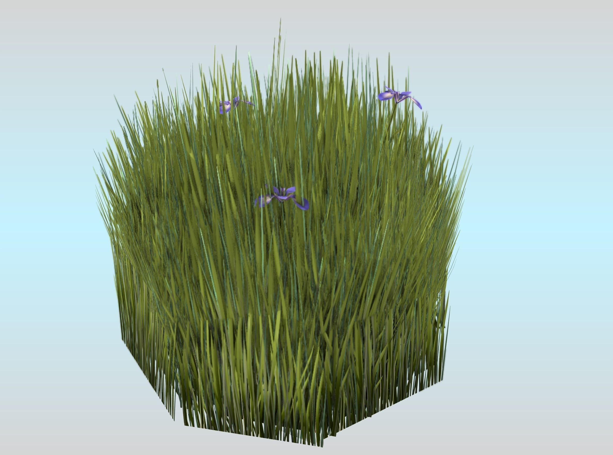 Reeds - Object 48 Low-poly 3D model_24