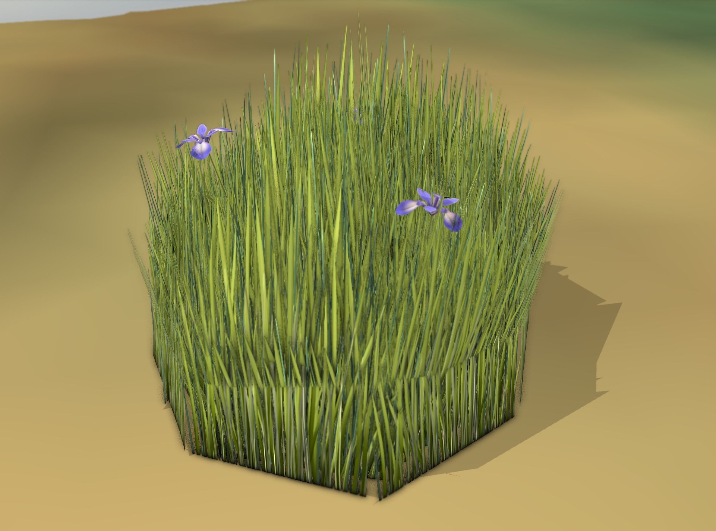 Reeds - Object 48 Low-poly 3D model_49