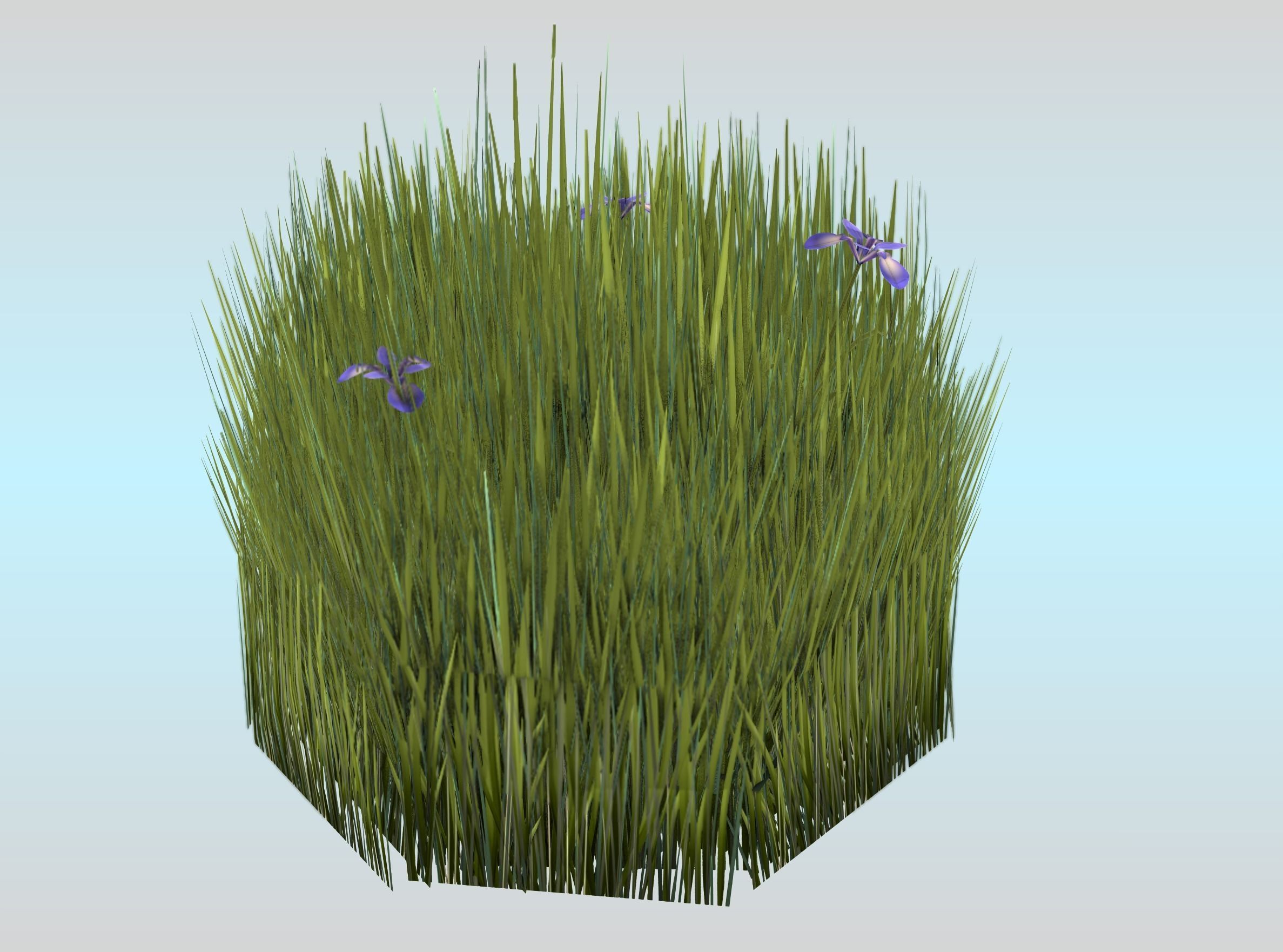 Reeds - Object 48 Low-poly 3D model_29