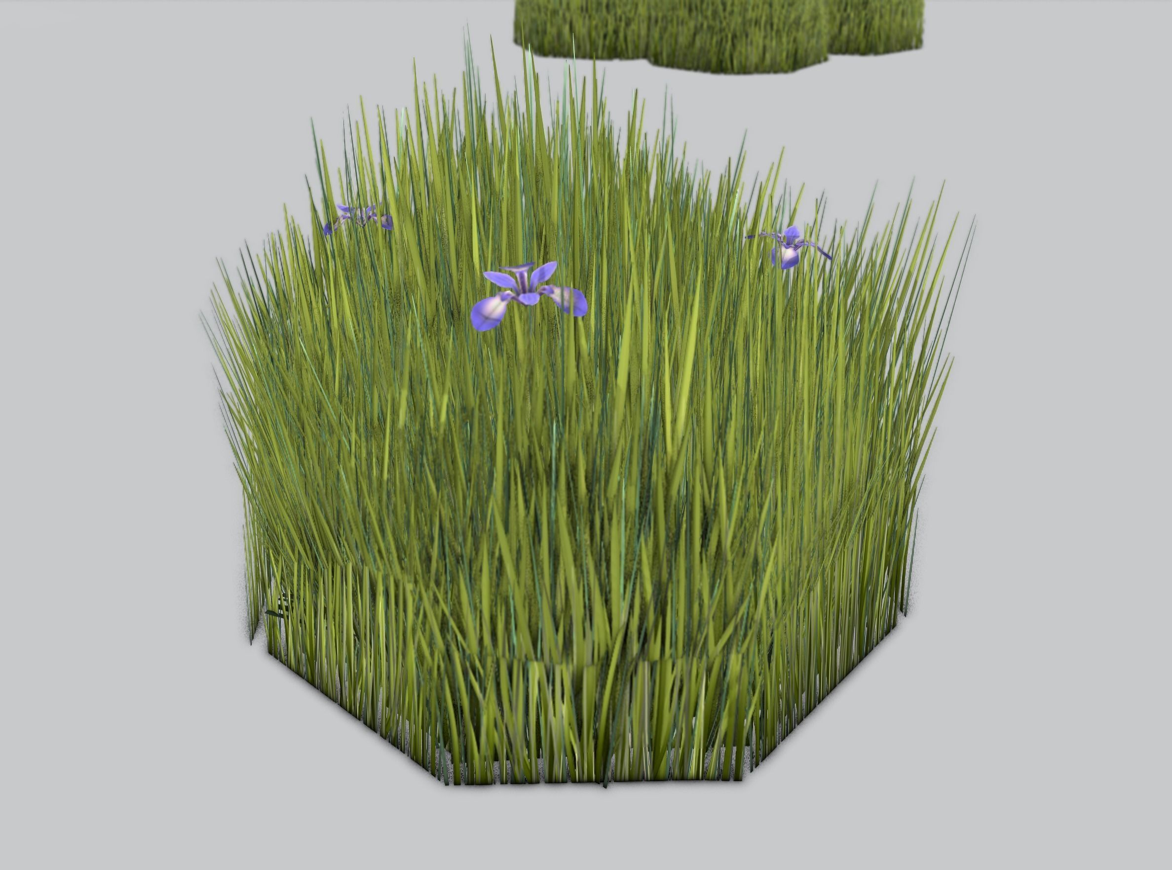 Reeds - Object 48 Low-poly 3D model_40