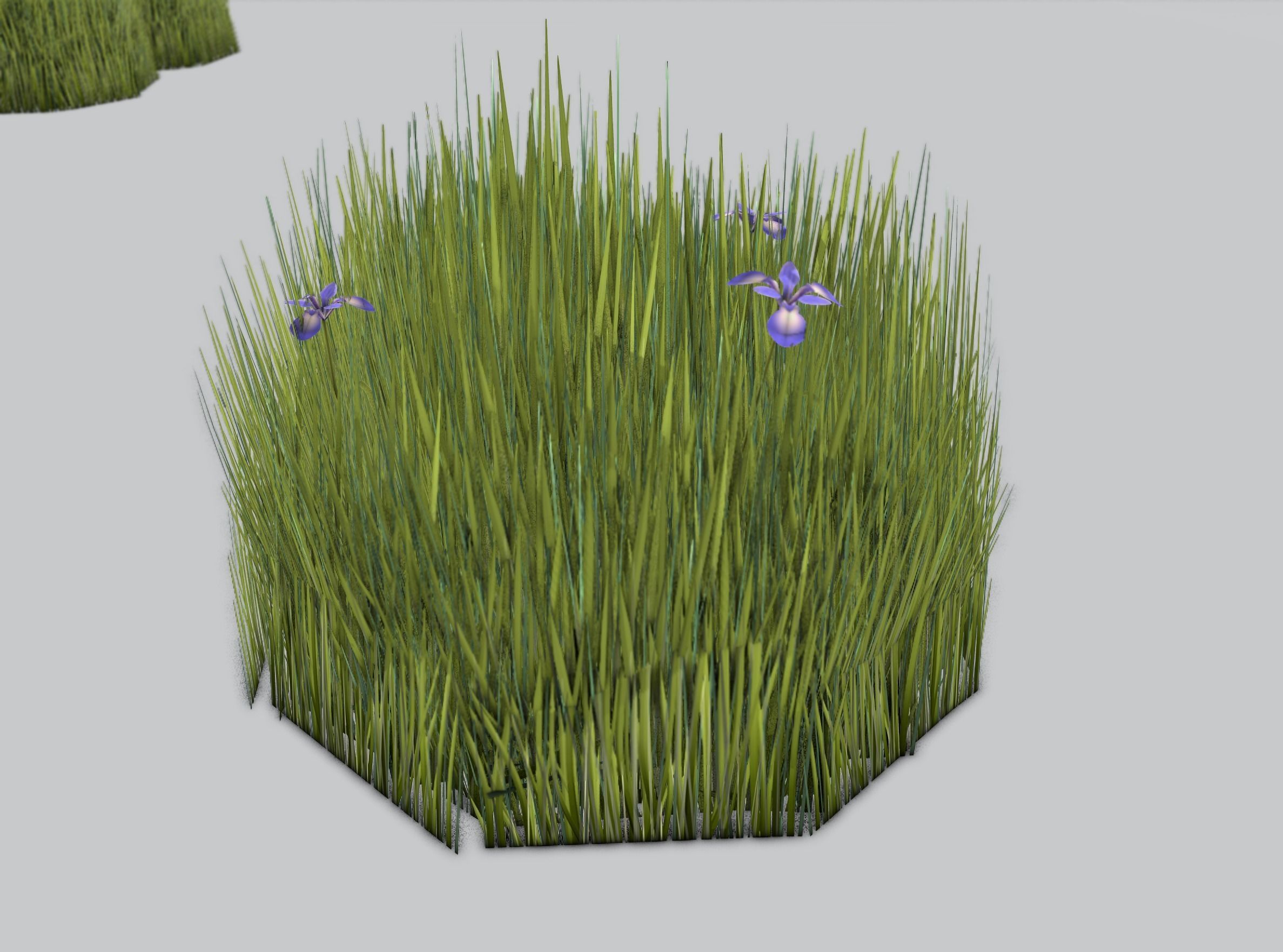 Reeds - Object 48 Low-poly 3D model_34