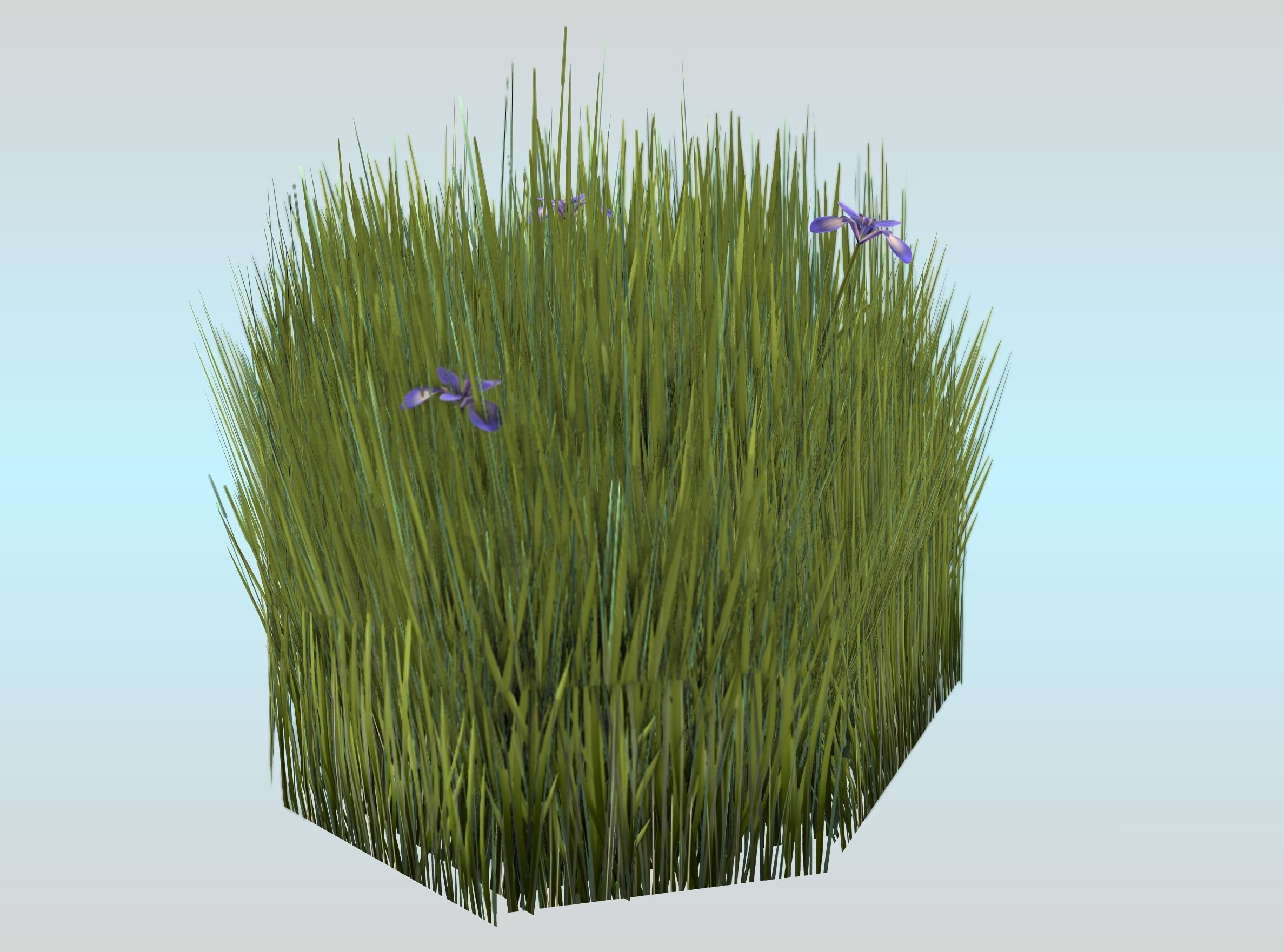 Reeds - Object 48 Low-poly 3D model_27