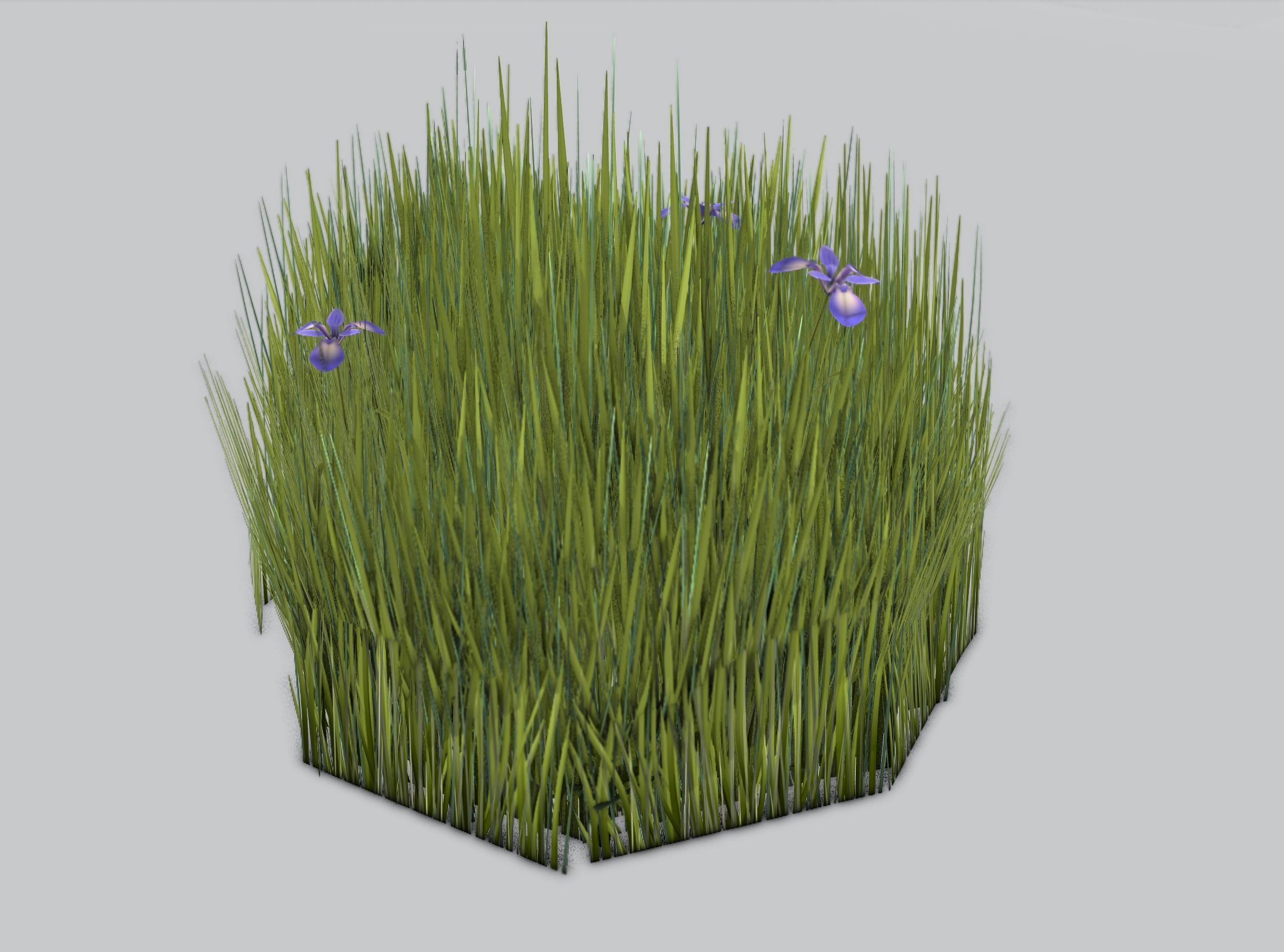 Reeds - Object 48 Low-poly 3D model_32