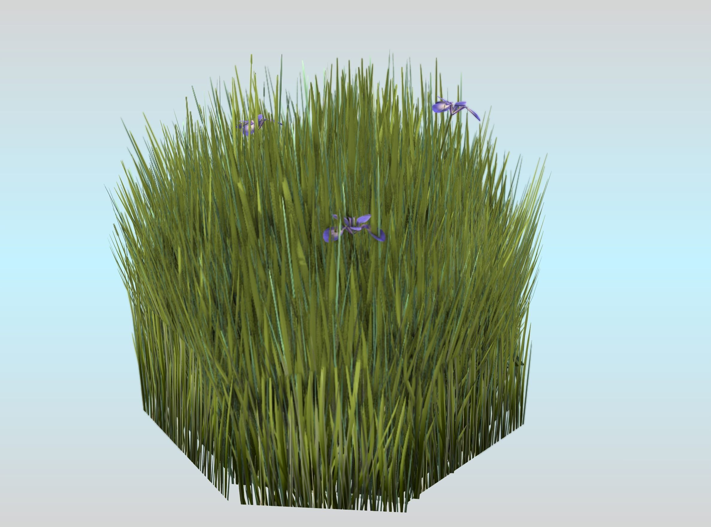 Reeds - Object 48 Low-poly 3D model_23