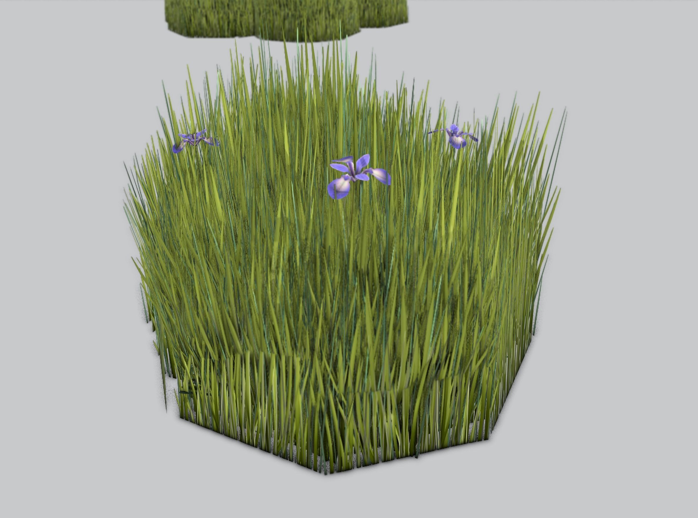 Reeds - Object 48 Low-poly 3D model_38