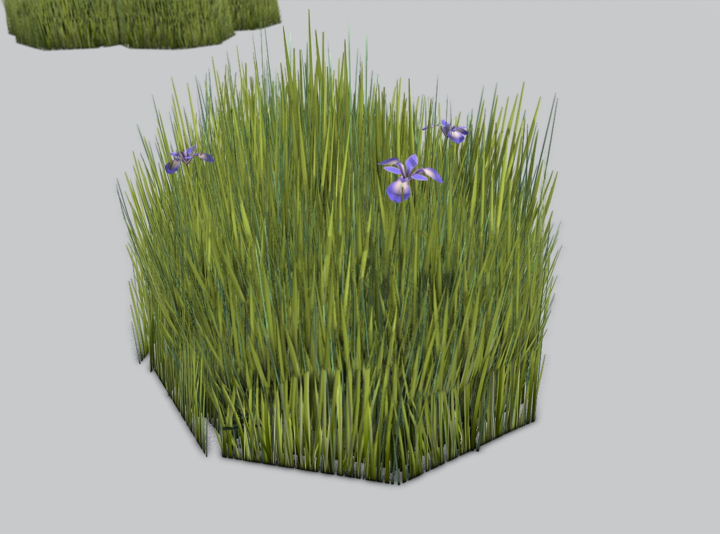 Reeds - Object 48 Low-poly 3D model_36