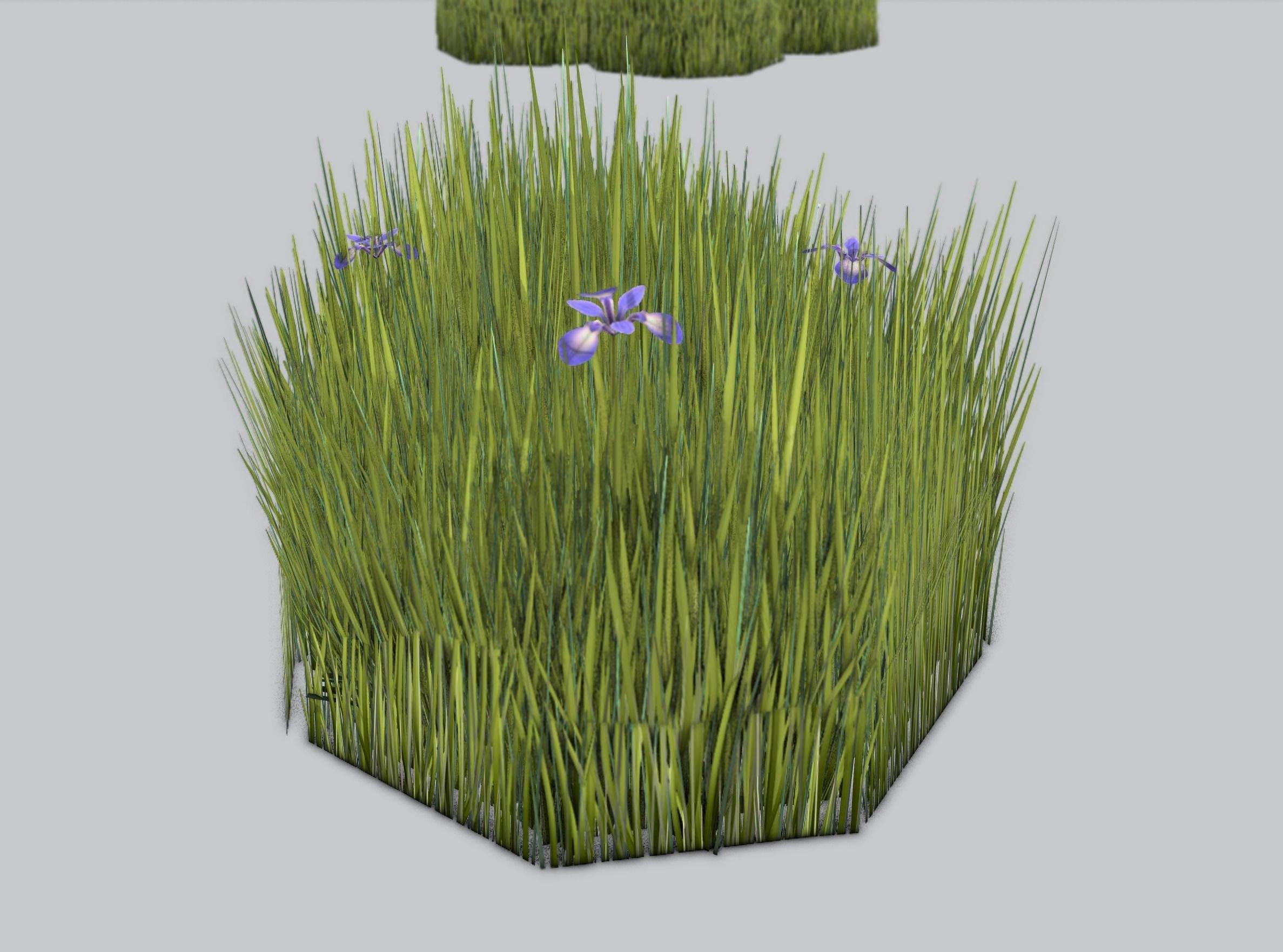 Reeds - Object 48 Low-poly 3D model_39