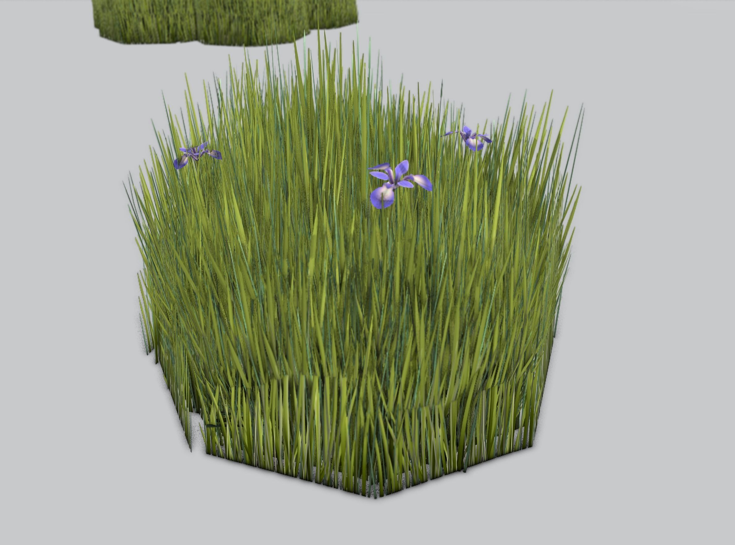 Reeds - Object 48 Low-poly 3D model_37