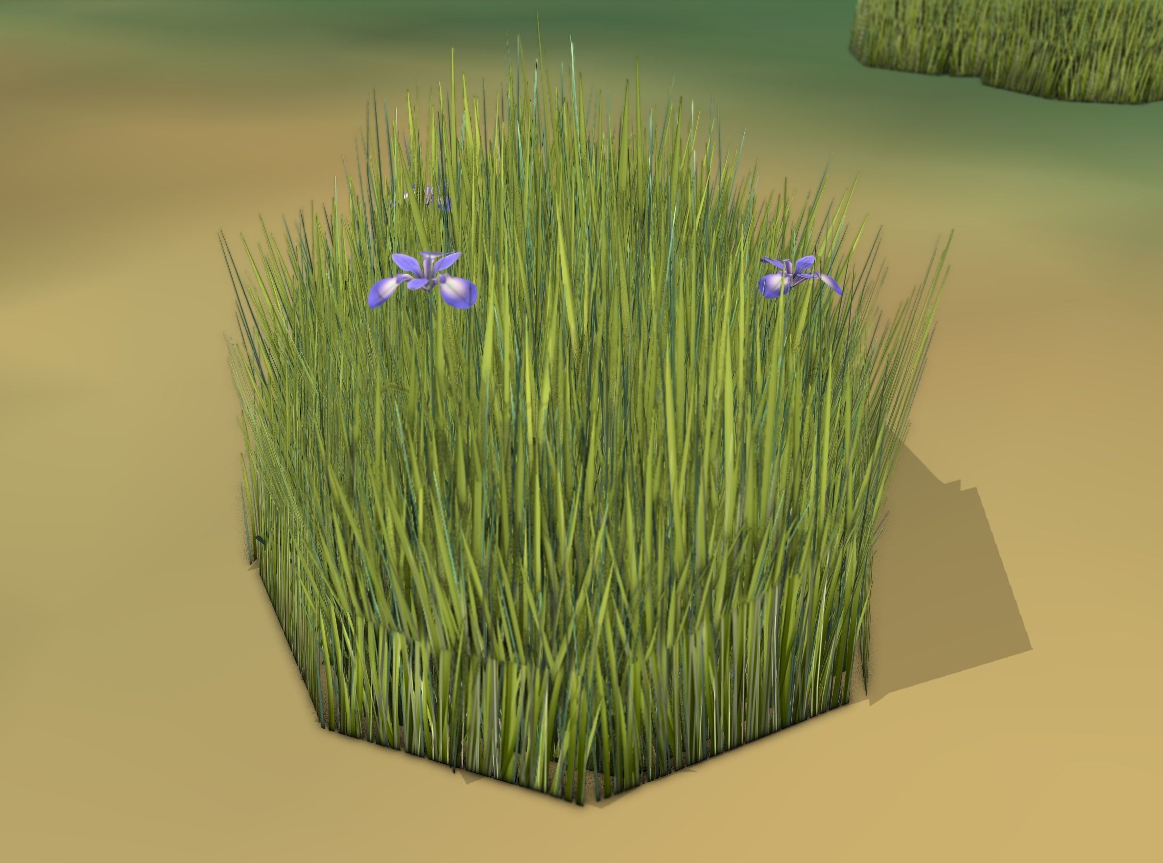 Reeds - Object 48 Low-poly 3D model_43