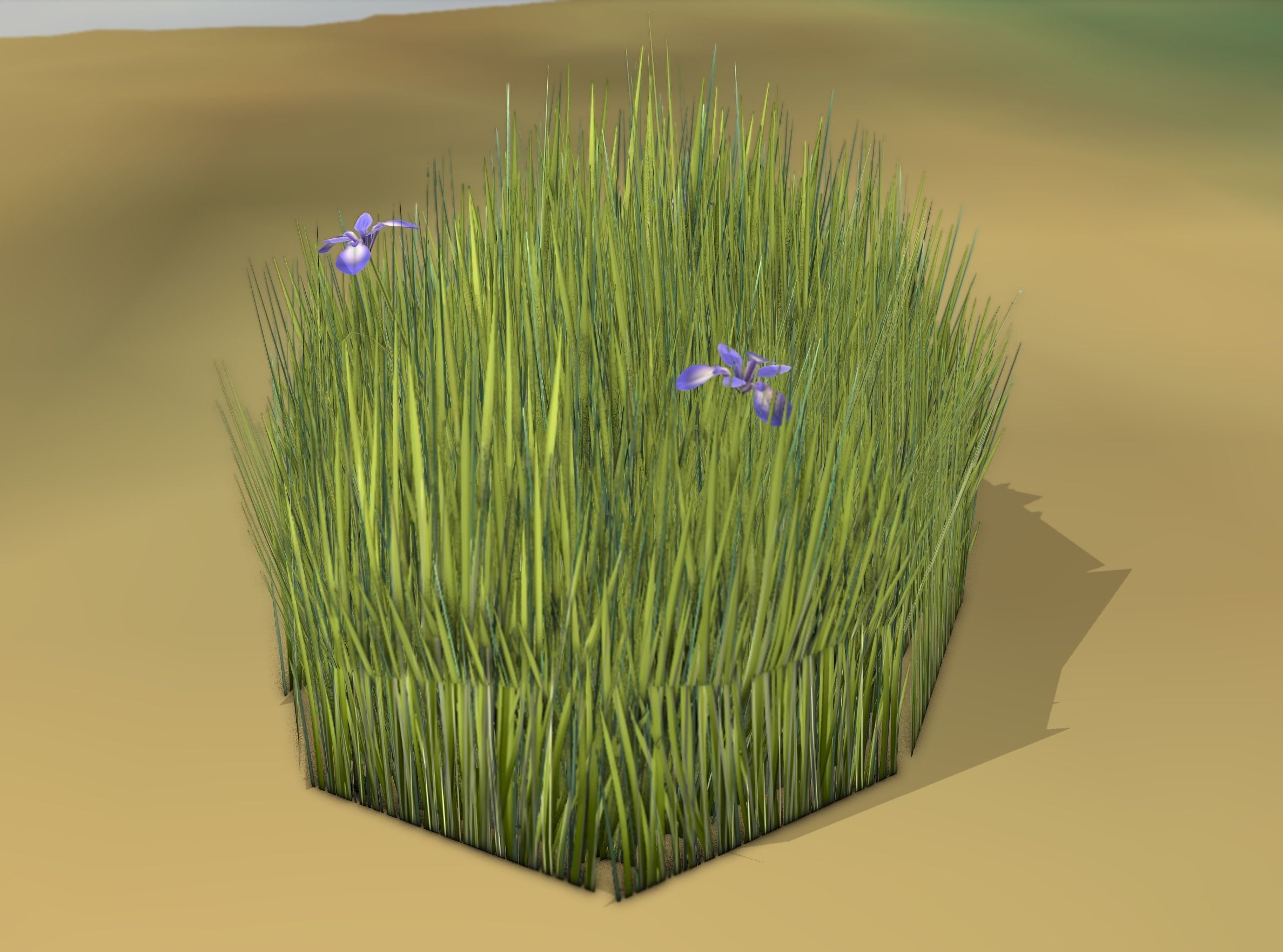 Reeds - Object 48 Low-poly 3D model_50