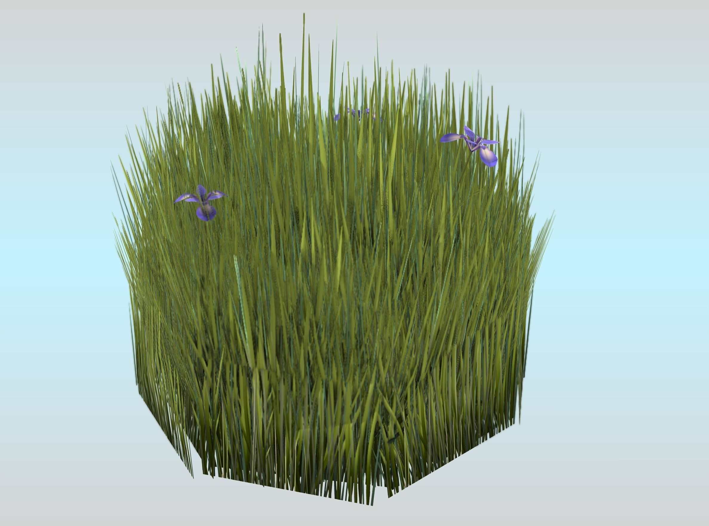 Reeds - Object 48 Low-poly 3D model_30